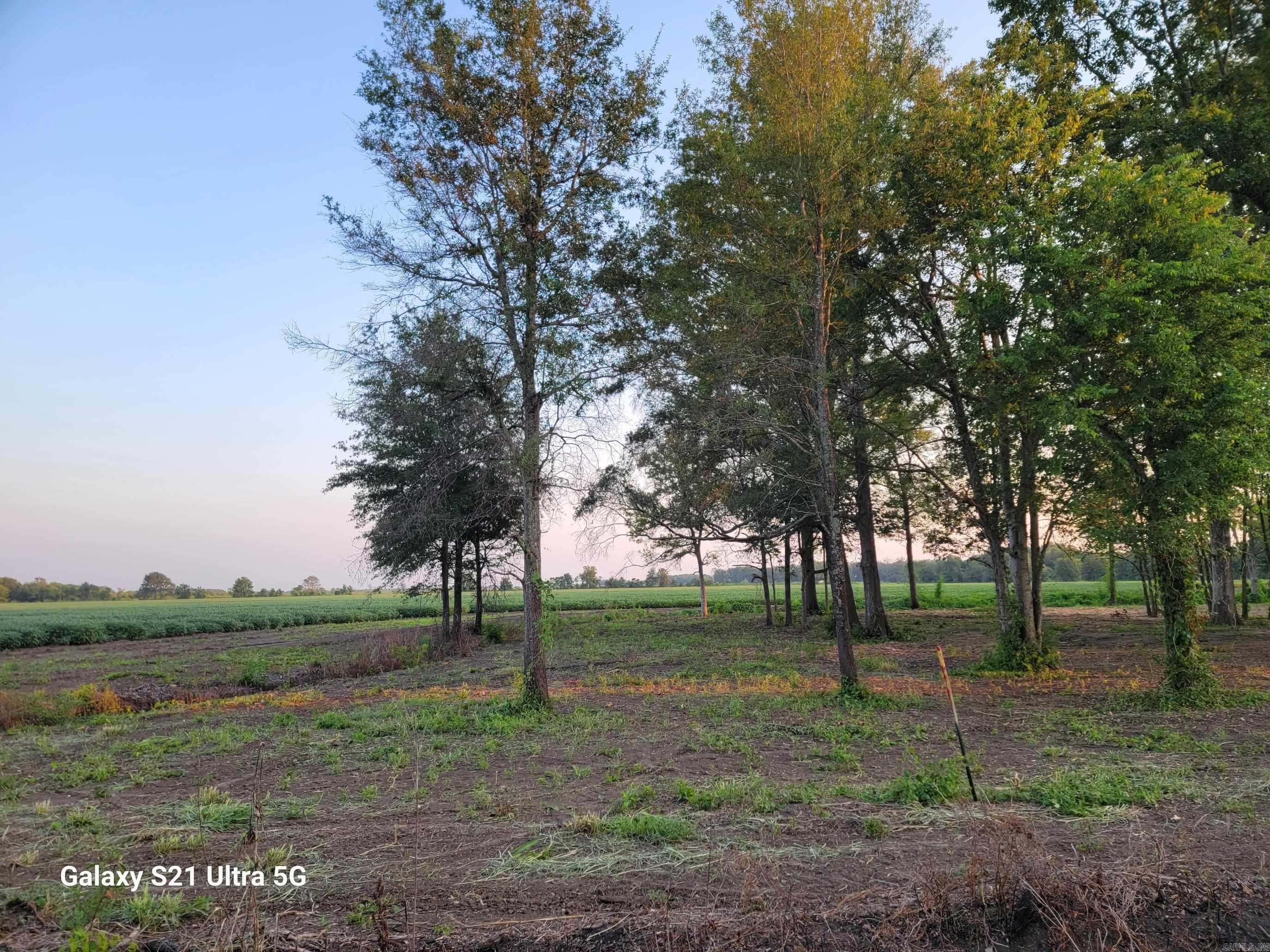 McGehee Annexation - Land