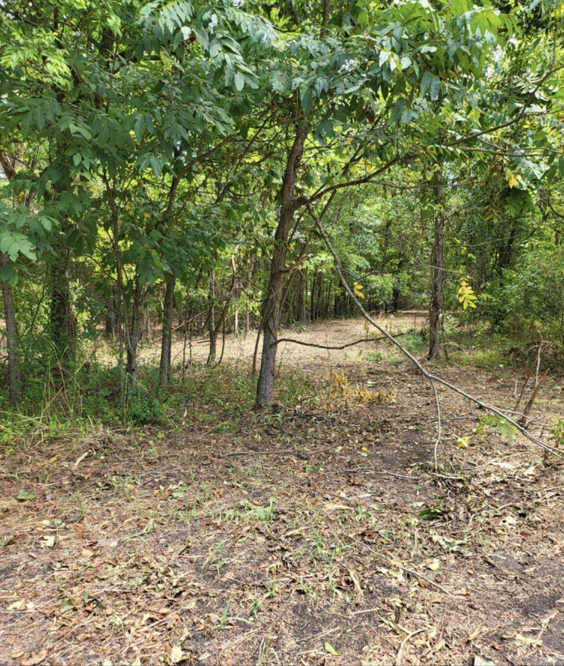 Metes & Bounds - Commercial Sale