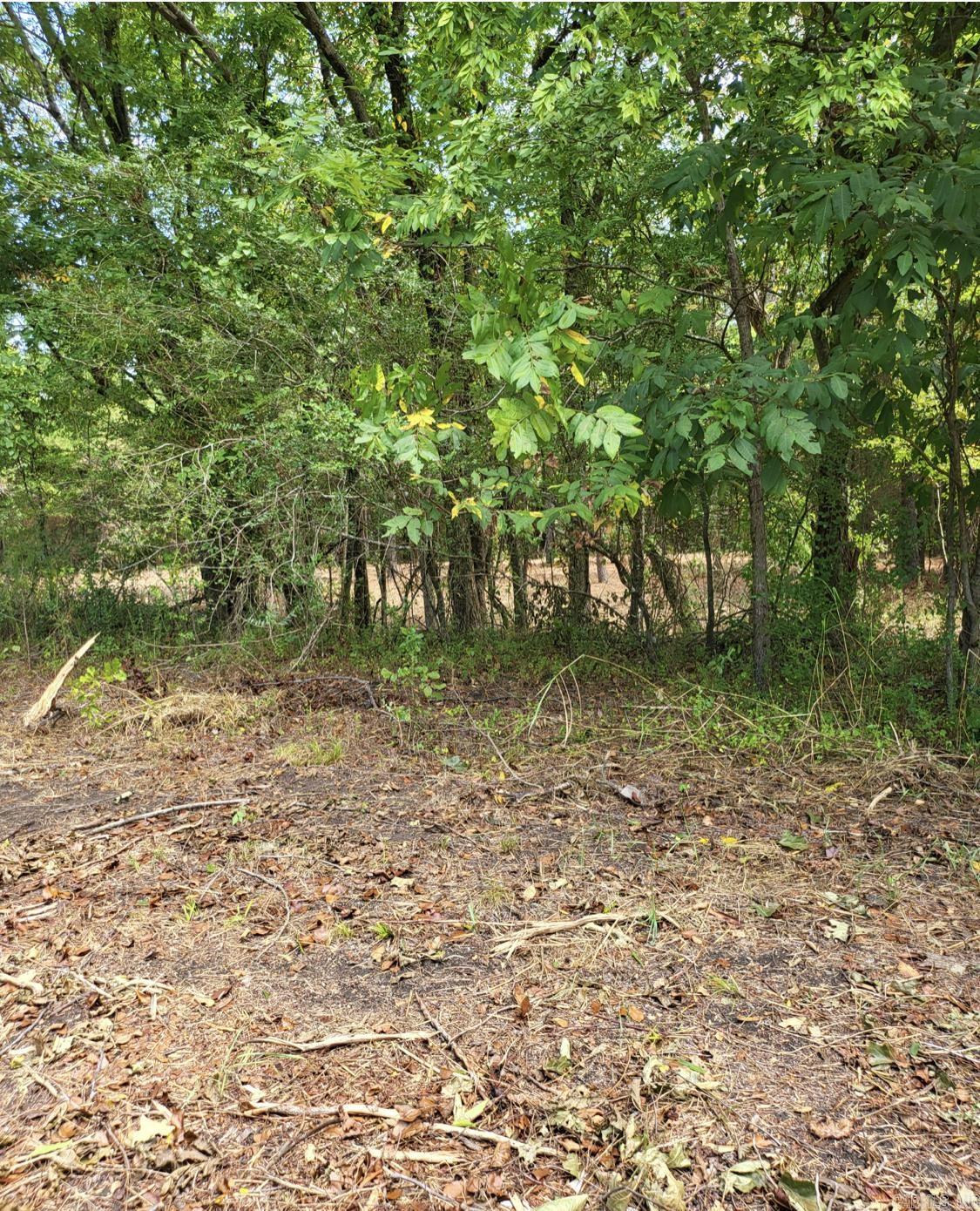 Metes & Bounds - Commercial Sale