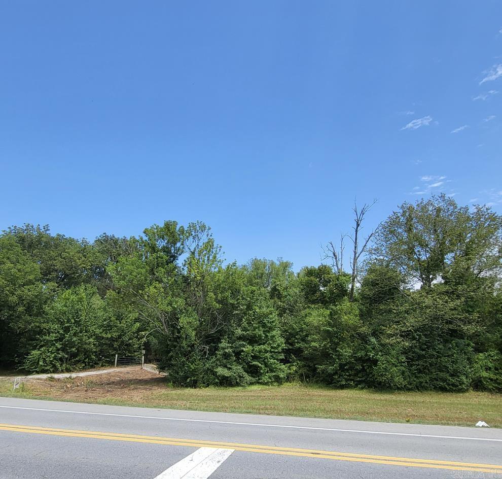 COMMERCIAL LOT IN ALEXANDER CITY LIMITS, NEXT TO DOLLAR GENERAL. LEVEL 5.55 ACRES WITH APPX 244 FEET OF ROAD FRONTAGE ON SOUTH ALEXANDER ROAD (HIGHWAY 111). UTILITIES AVAILABLE. APPROXIMATELY 1/2 MILE FROM I-30. ZONED HIGHWAY COMMERCIAL. AVERAGE DAILY TRAFFIC COUNT IS OVER 8,000. AGENTS SEE REMARKS.