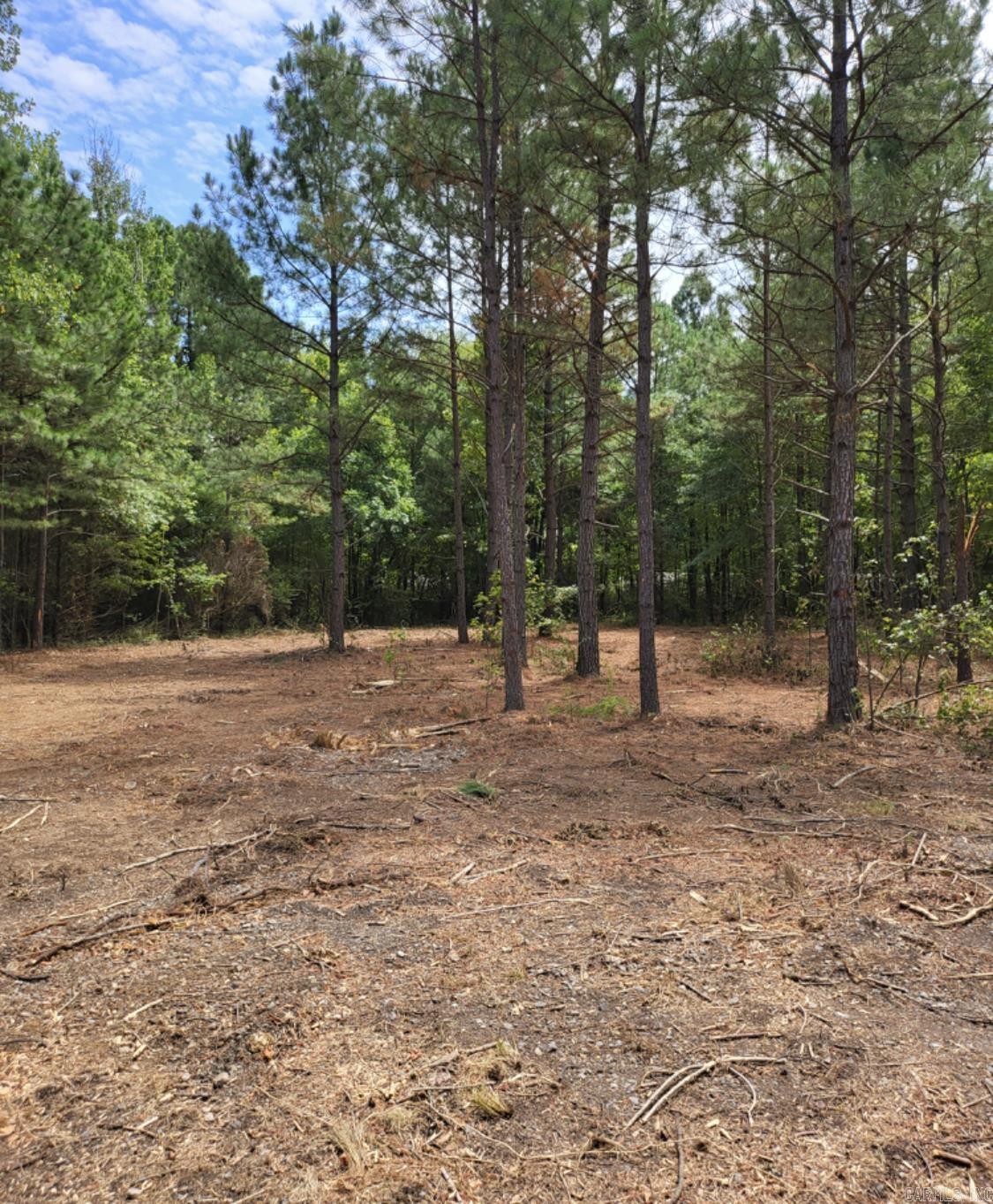 Metes & Bounds - Commercial Sale