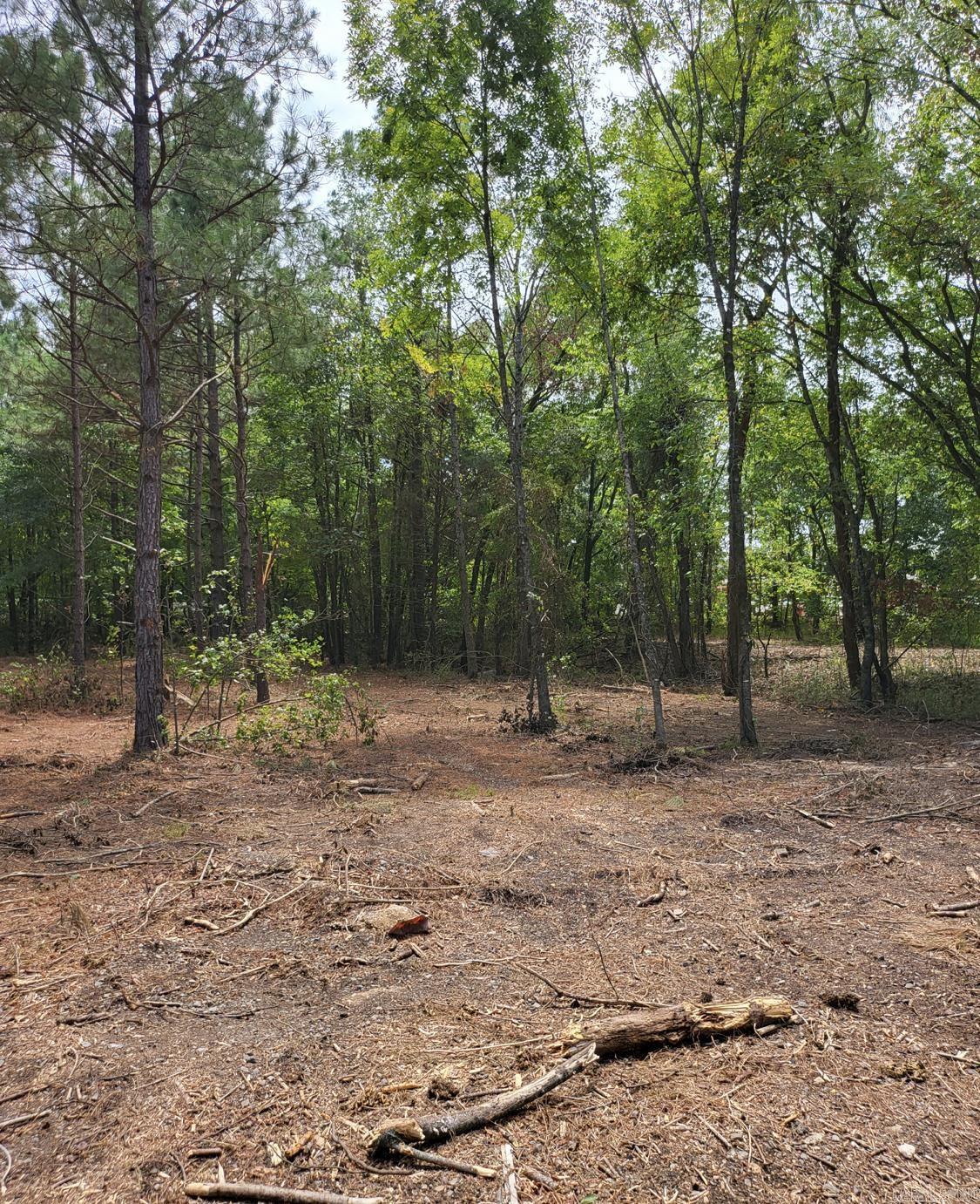 Metes & Bounds - Commercial Sale