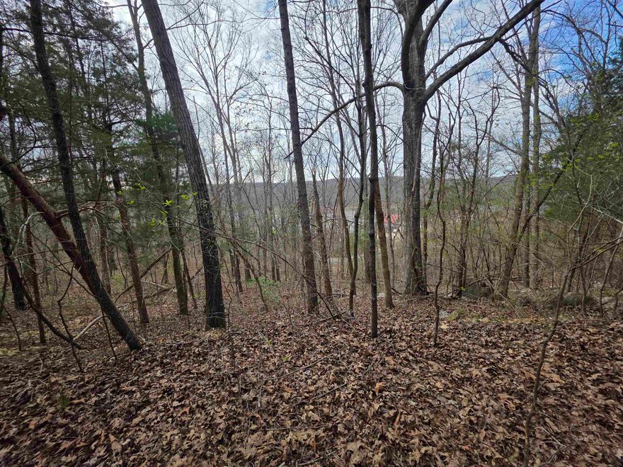Must-see secluded lot in Woodland Hills subdivision of Hardy, Arkansas. This lot is in a prime location up on a hillside where there could be seasonal views of lake Sherwood. This lot is secluded but still near the downtown area of Hardy. Enjoy private lake life on a hilltop while also taking advantage of town amenities. This lot allows you access to two private lakes and private recreation areas. You can also enjoy shopping, camping, parks, and river access in town. Come see this lot and pick out the building spot for your home or cabin.