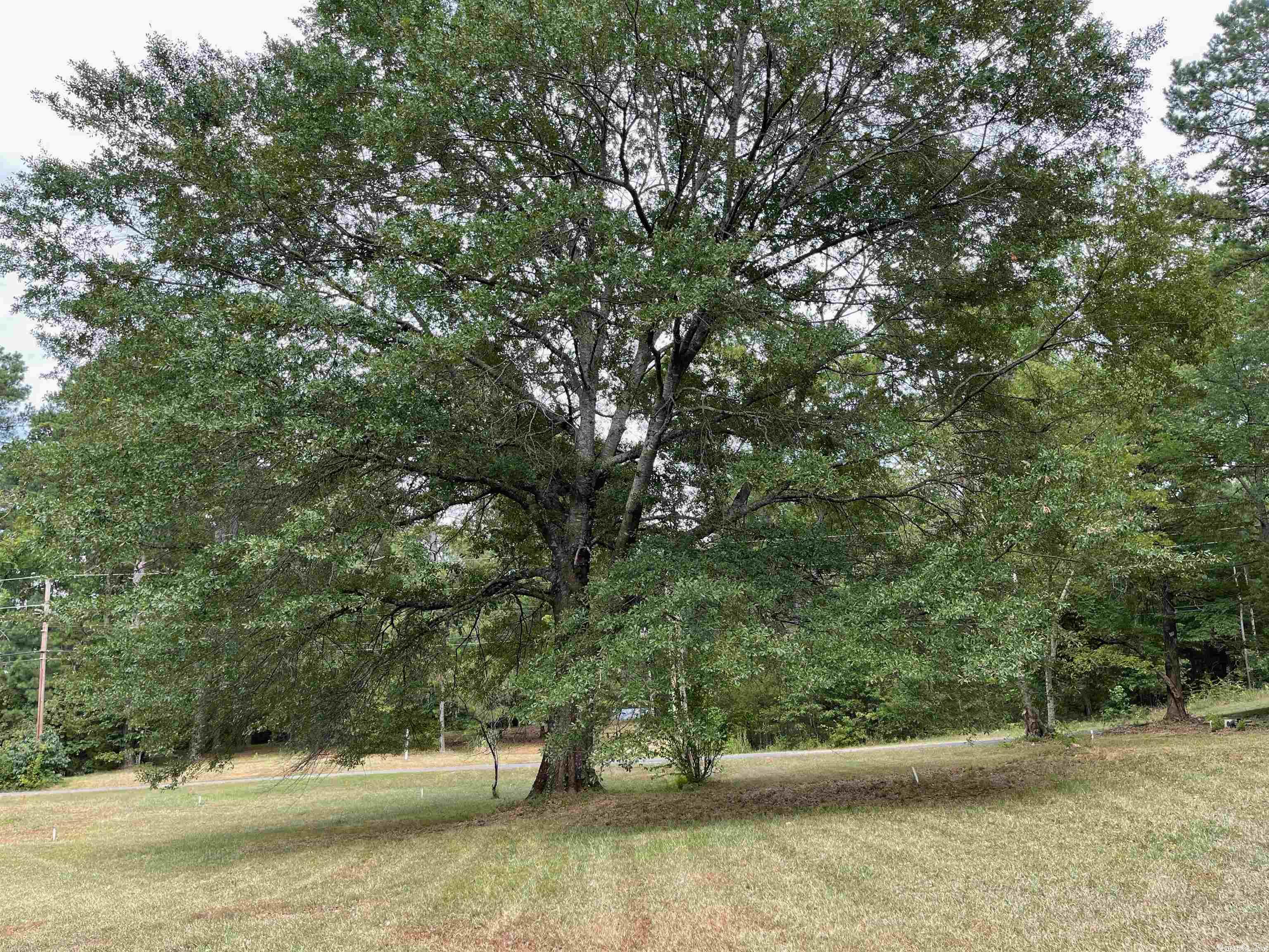 City of Glenwood - Land