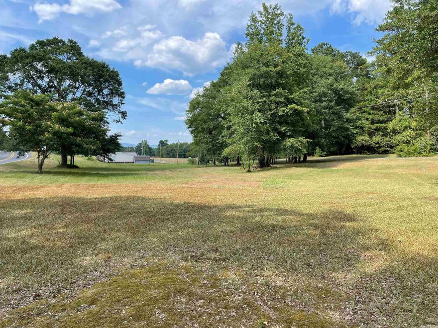 Welcome to your own slice of paradise in the peaceful Glenwood neighborhood! This large, level buildable lot spans an impressive 2+/- acres, providing ample space and endless possibilities. With water and electric readily available at the road, the convenience factor is undeniable. Nature lovers will rejoice knowing that this gem is within walking distance to the scenic John Benjamin Public Fishing Lake. The tranquil surroundings, complemented by mature trees, create an idyllic setting for those seeking solace and relaxation. If you're in the mood for some excitement, worry not! Downtown shopping and the exhilarating Caddo River, perfect for canoeing and fishing, are just minutes away. Plus, with convenient access to Highway 8, exploring the diverse wonders of the area becomes a breeze. Don't miss out on the opportunity to make this exceptional lot your own. Embrace the beauty of nature, relish in the tranquility of a quiet neighborhood, and enjoy the convenience of nearby amenities. Your dream home awaits!