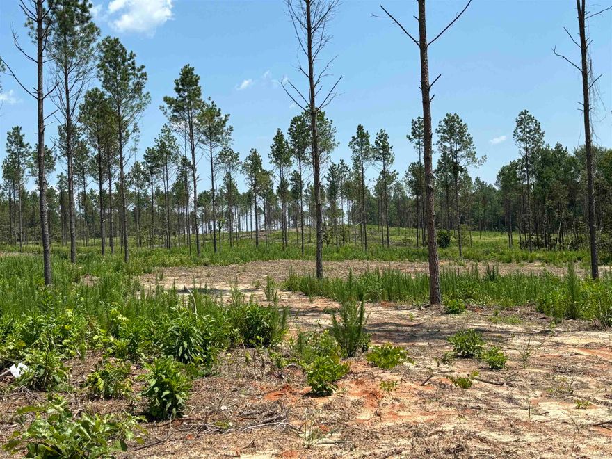Six lots-pick your favorite!*has a house pad with the stumps already cleared*pretty tract of land past the Sheridan Golf Club*under the MLS documents, you will find a drawing of the land and the restrictions*this is tract "E" on drawing*prelim perc already available* Directions: Take Grant 43 (aka Country Club Road) and go about 1.5 miles.  Property is on the left.