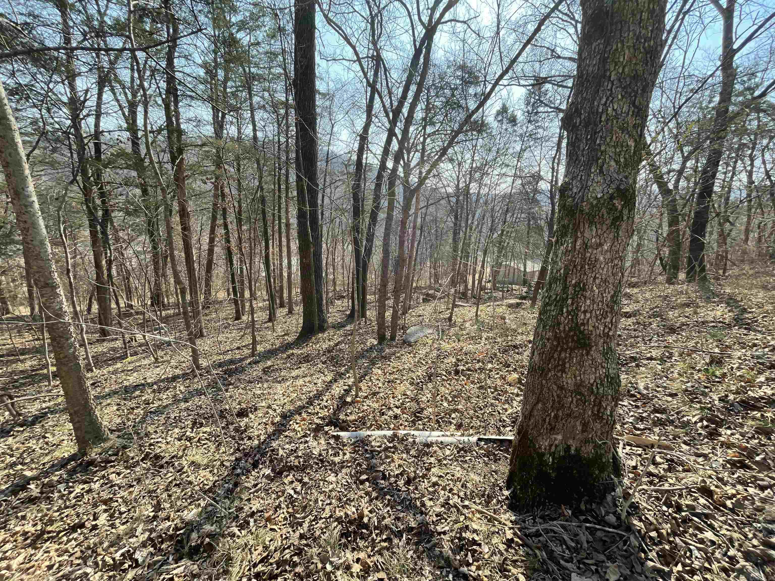 BRANSCUM & TUBBS - Land