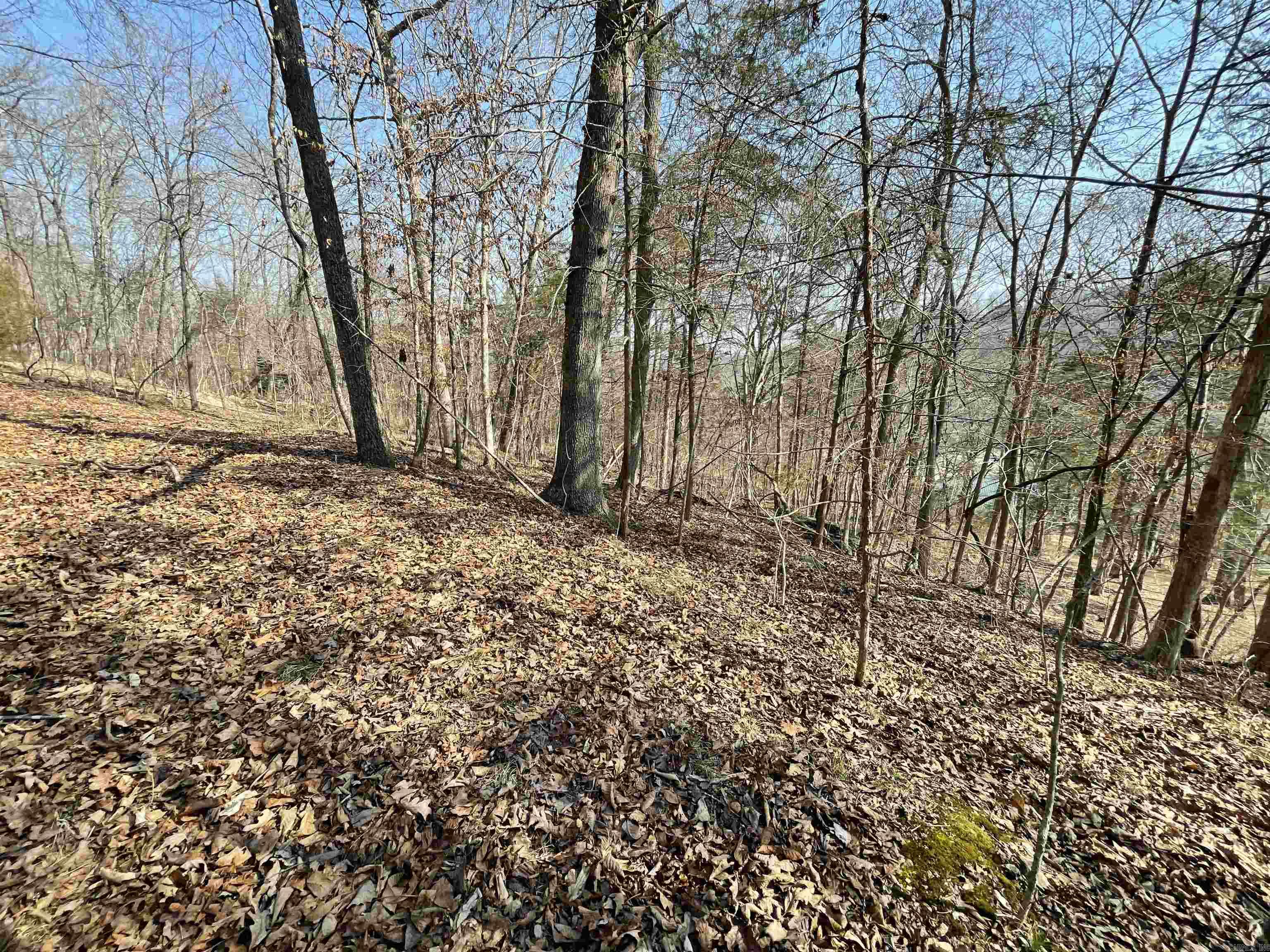 BRANSCUM & TUBBS - Land