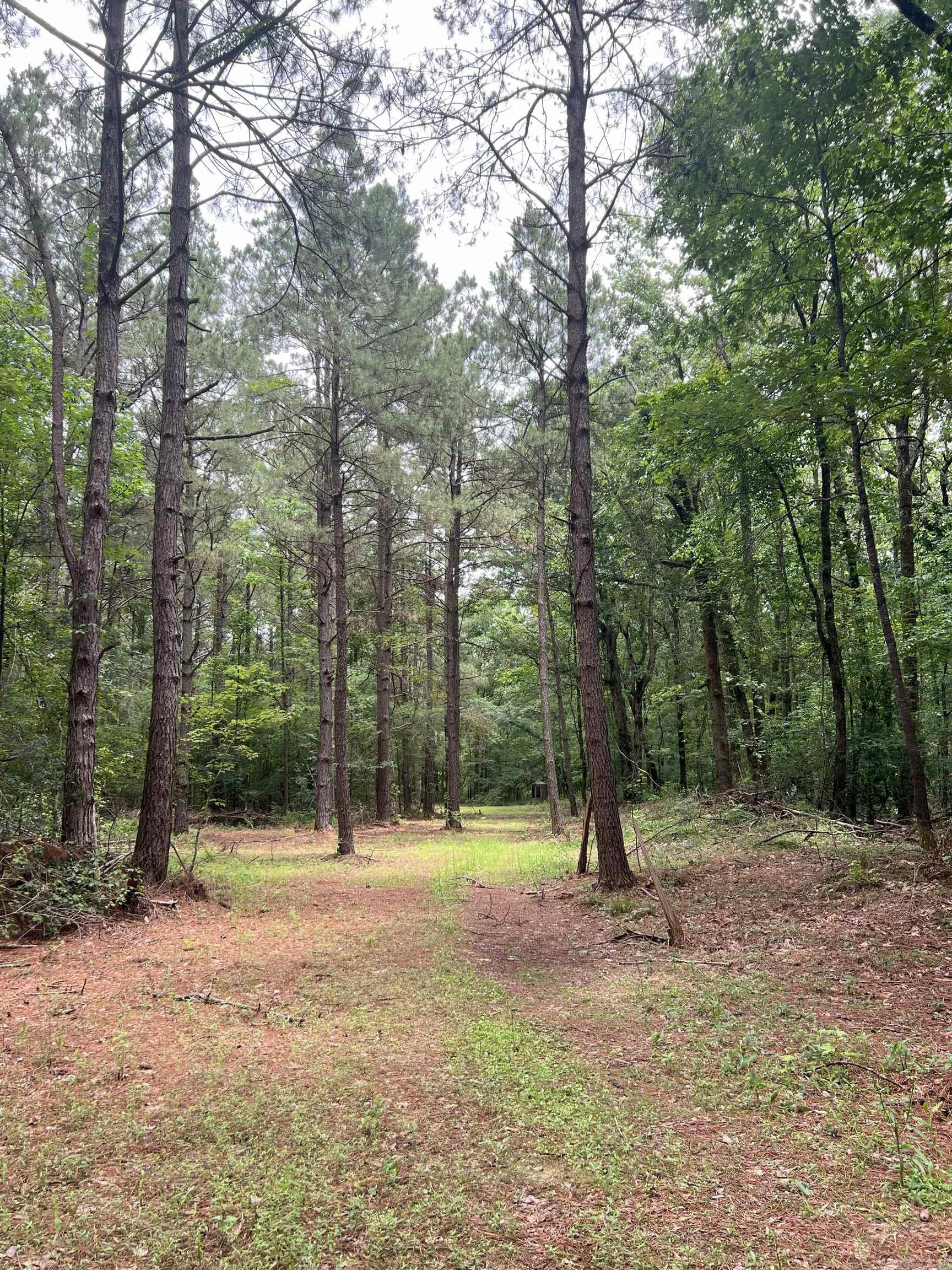 This 97+/- acre tracted is located in Lincoln County off of Alexander Road. The property is only 6 miles from Star City, 20 miles from Pine Bluff, and 30 miles from Monticello. The timber consist of a mixture of pine and hardwood natural growth that is about 25 to 30 years old making for excellent habitat for all sorts of wildlife as well as a good timberland investment.