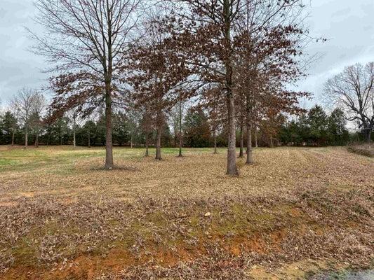 57 RW RANCH DR, GREENBRIER, AR 72058 - Image 2088746cefc5f3cf0b32584ea160b366/3263173637