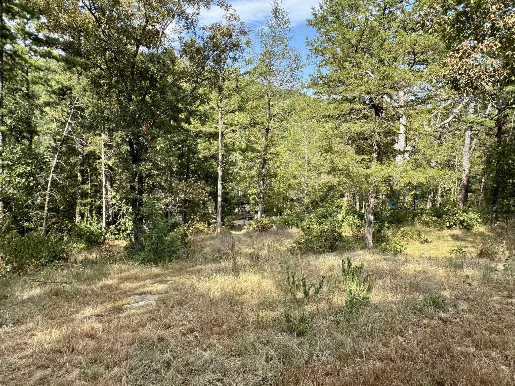 RIPPLIN SHOALS HILLS - Residential