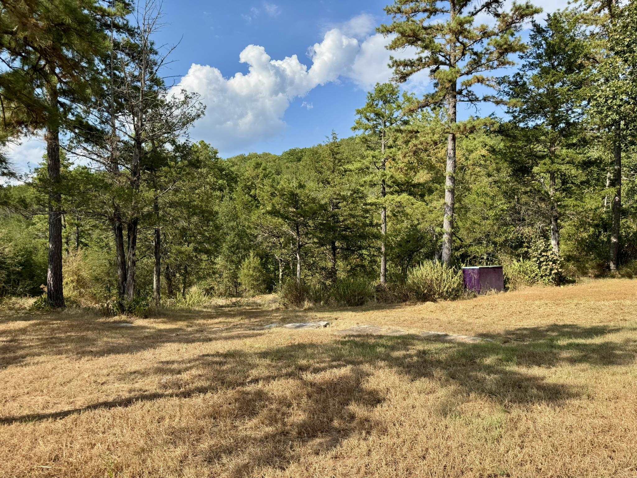 RIPPLIN SHOALS HILLS - Residential