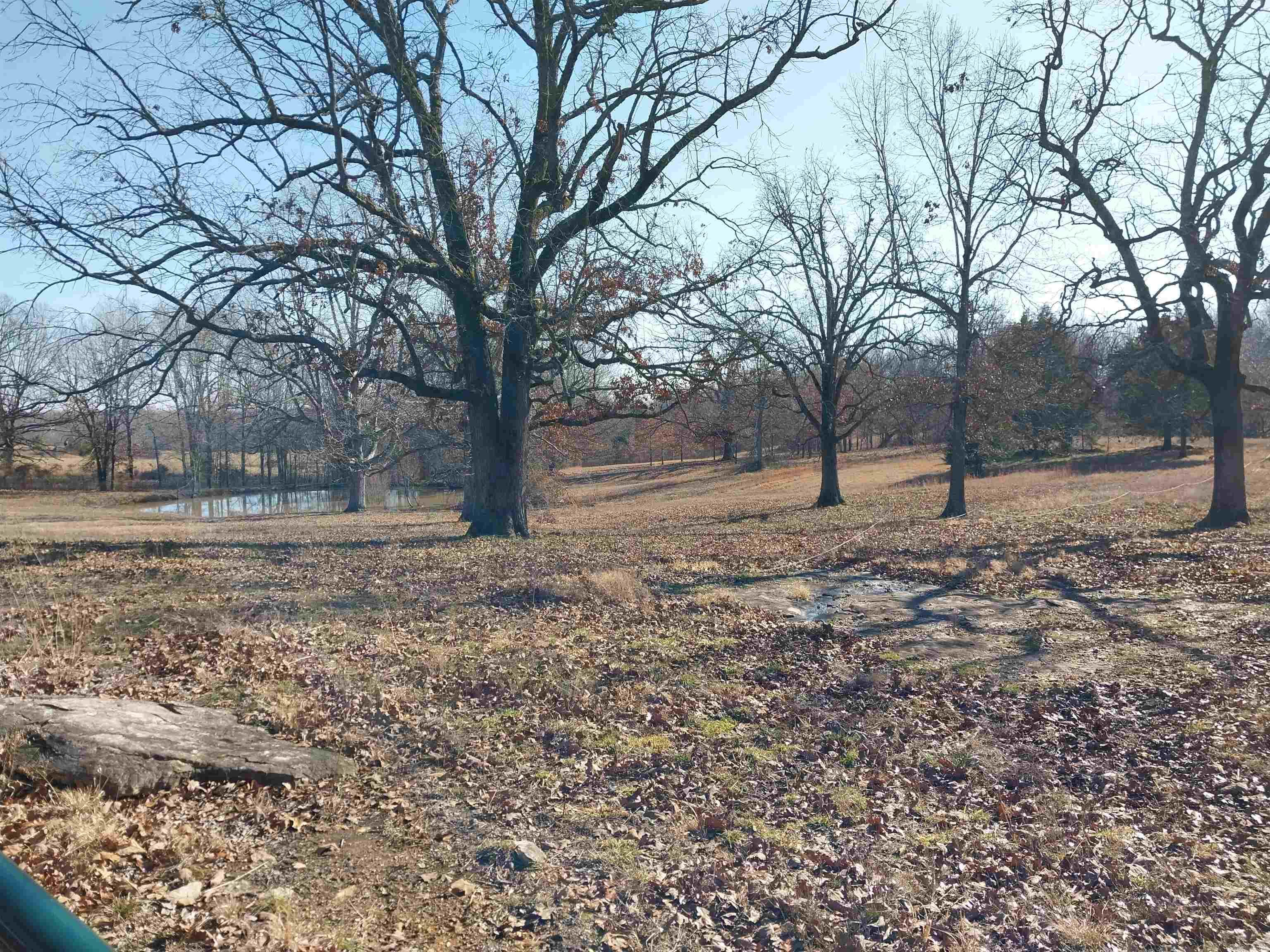 Randolph County - Residential