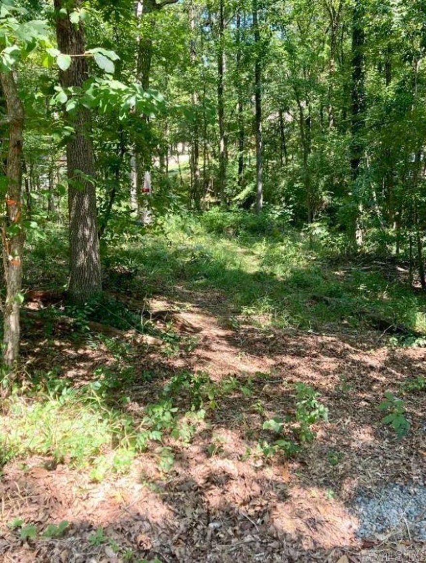 Nice, affordable .53 acre vacant lot across street from Lake Catherine. Lakeside School District. Between 1214 and 1234 Akers Road.