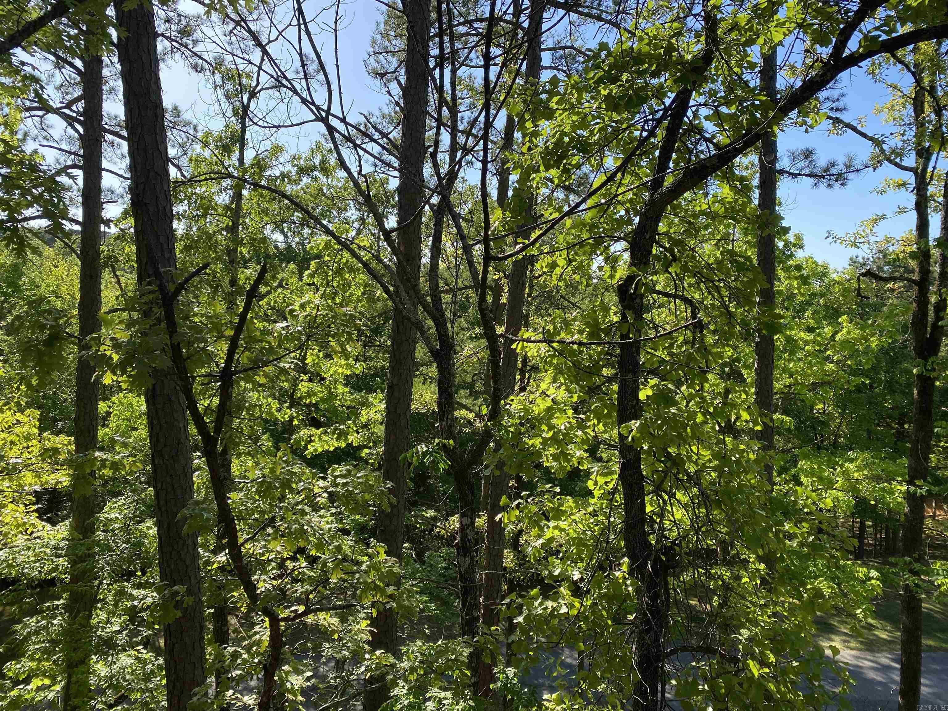 Harbor East Condo - Residential