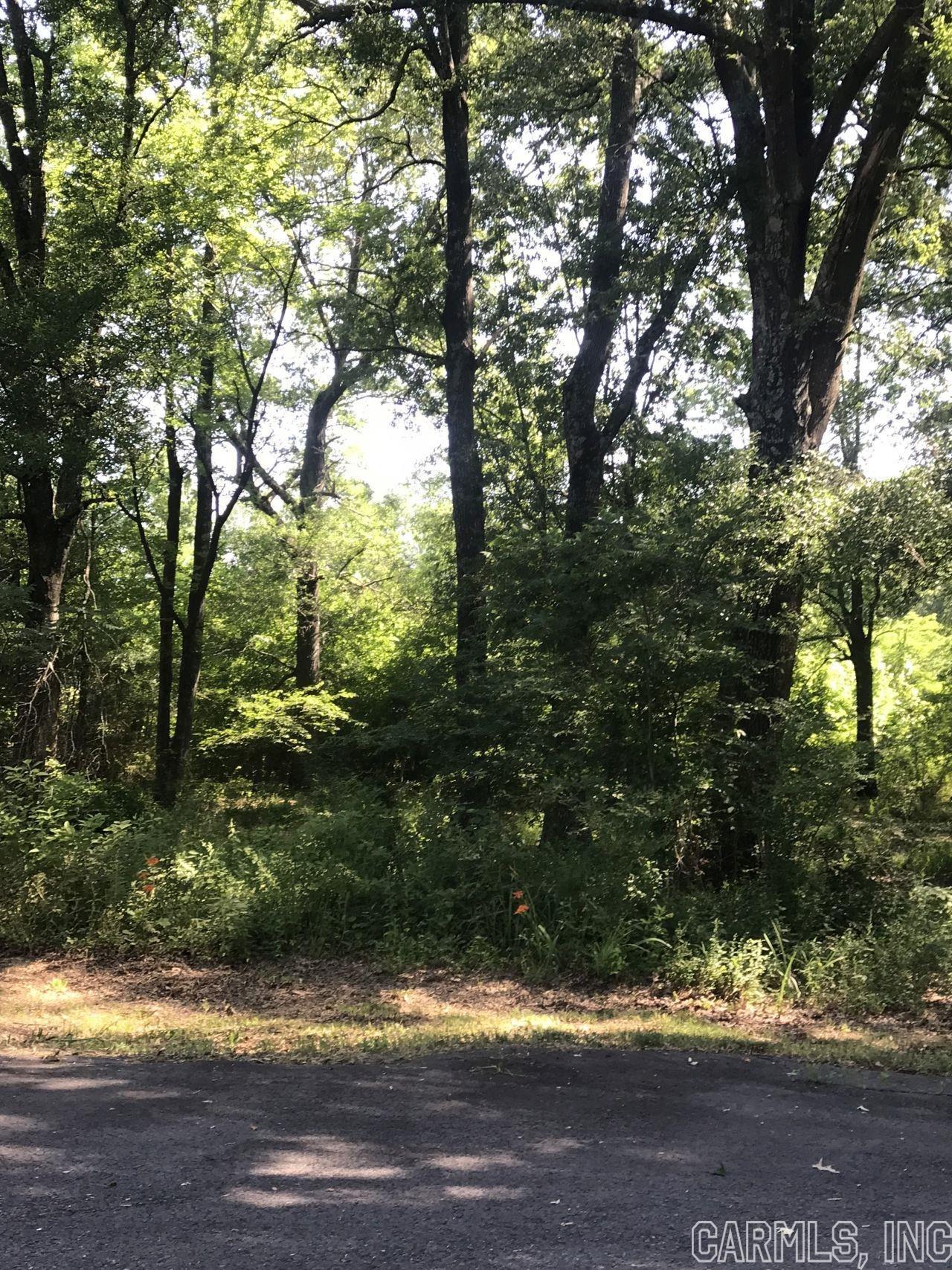 Rolling Hills #1 - Land