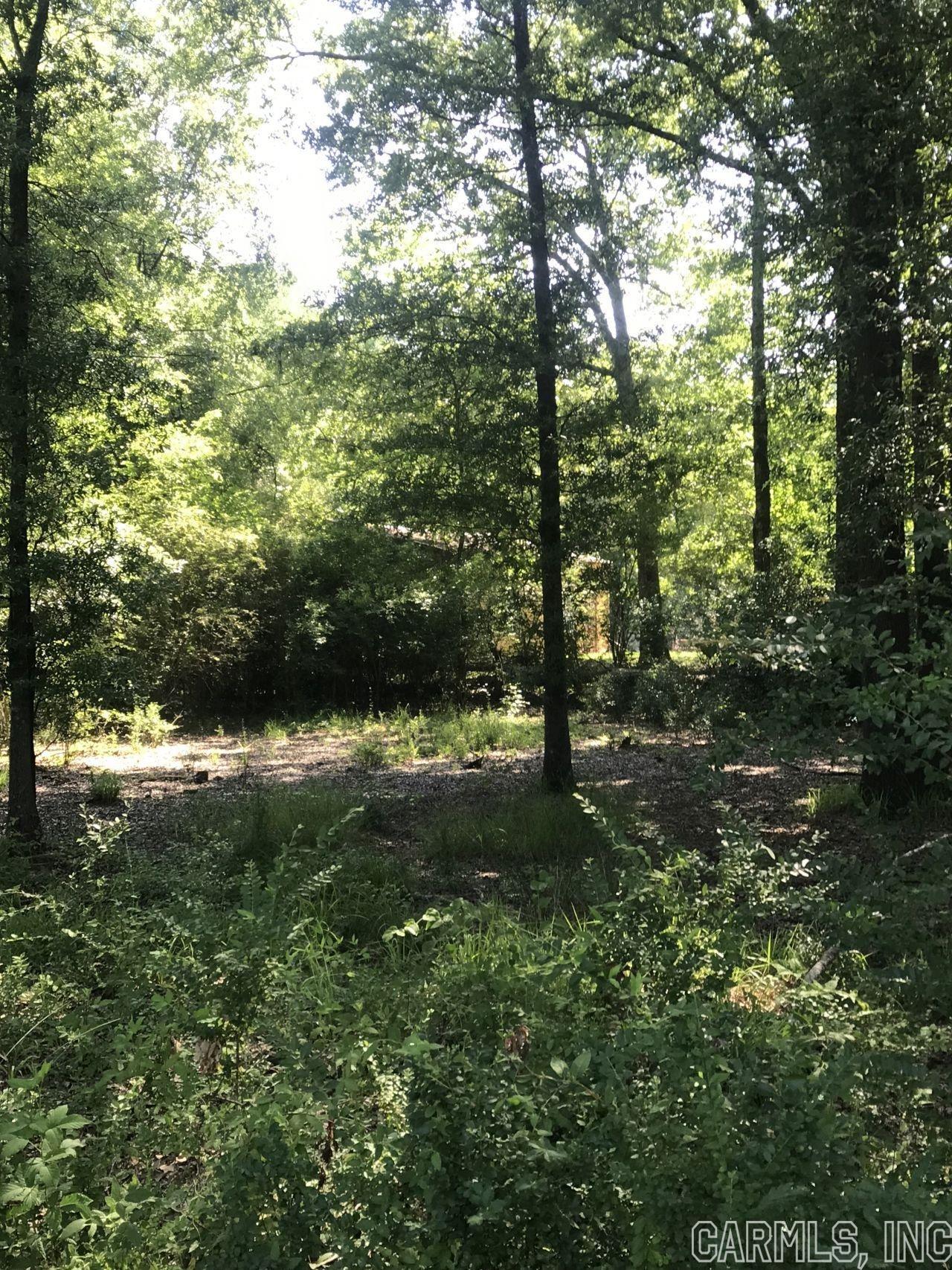 Rolling Hills #1 - Land