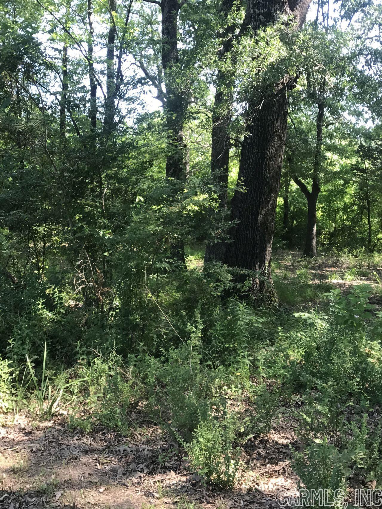 Rolling Hills #1 - Land