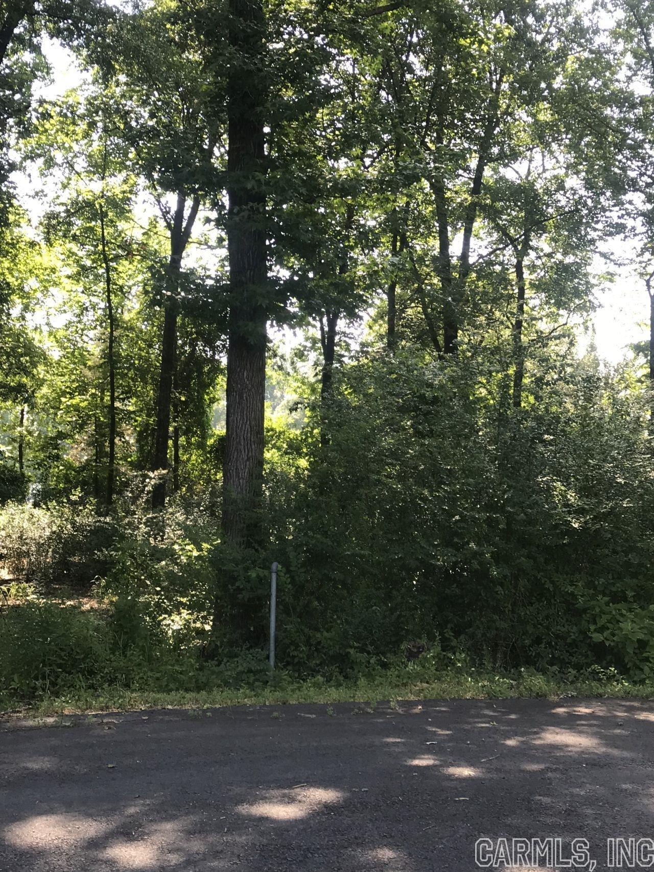 Rolling Hills #1 - Land