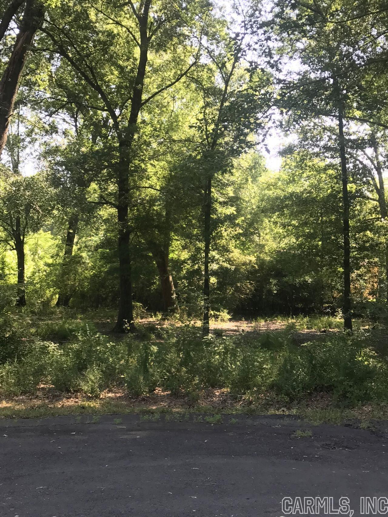 Rolling Hills #1 - Land