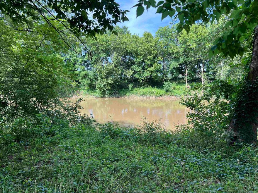 Great river front lot with boat dock and a lot behind it 2 lots total