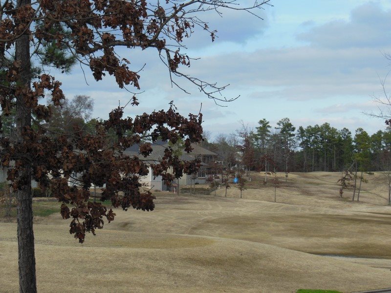 Jardinero - Residential