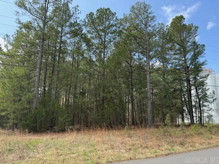1.77 ACRES IN CITY LIMITS!  1.77 acres of woods at edge of town. Nice level land. City water and sewer available. Natural gas and Clay County Electric available as well as Clay County Connect Fiber Optic Internet. $161 yearly taxes. Paved road.