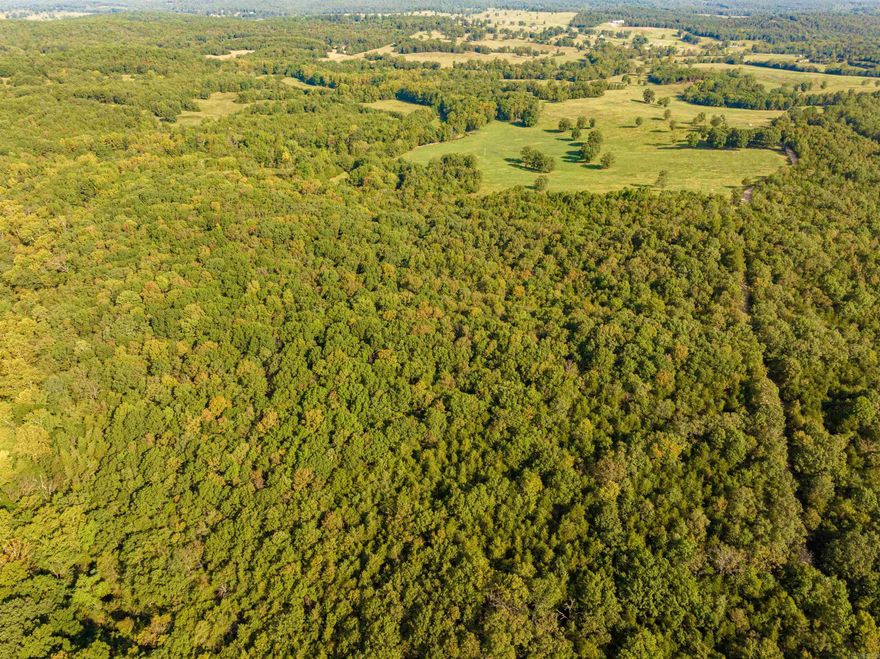 Beautiful wooded acreage located on Silver Springs Road just outside of Evening Shade, AR. This property features mature timber and Whaley Creek running through it, offering a year-round water source. Ideal for hunting or building your dream home or cabin, the land is loaded with deer and turkey. The terrain provides excellent cover for wildlife and several great building sites. Electric and water are available at the road but not currently on the property. With county road frontage and natural beauty, this is a great opportunity to own a piece of the Ozarks.