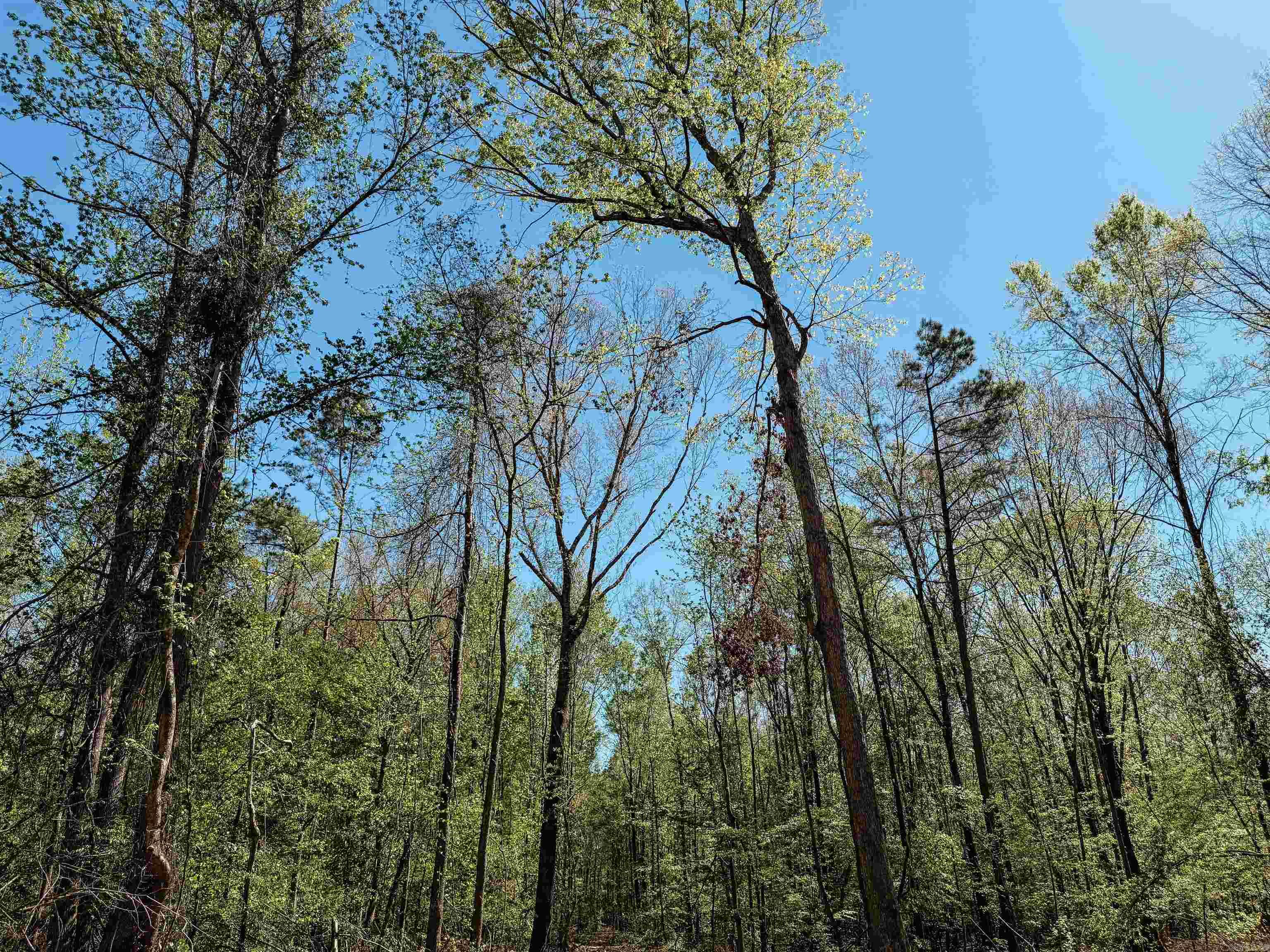 Not in Subdivision - Farm