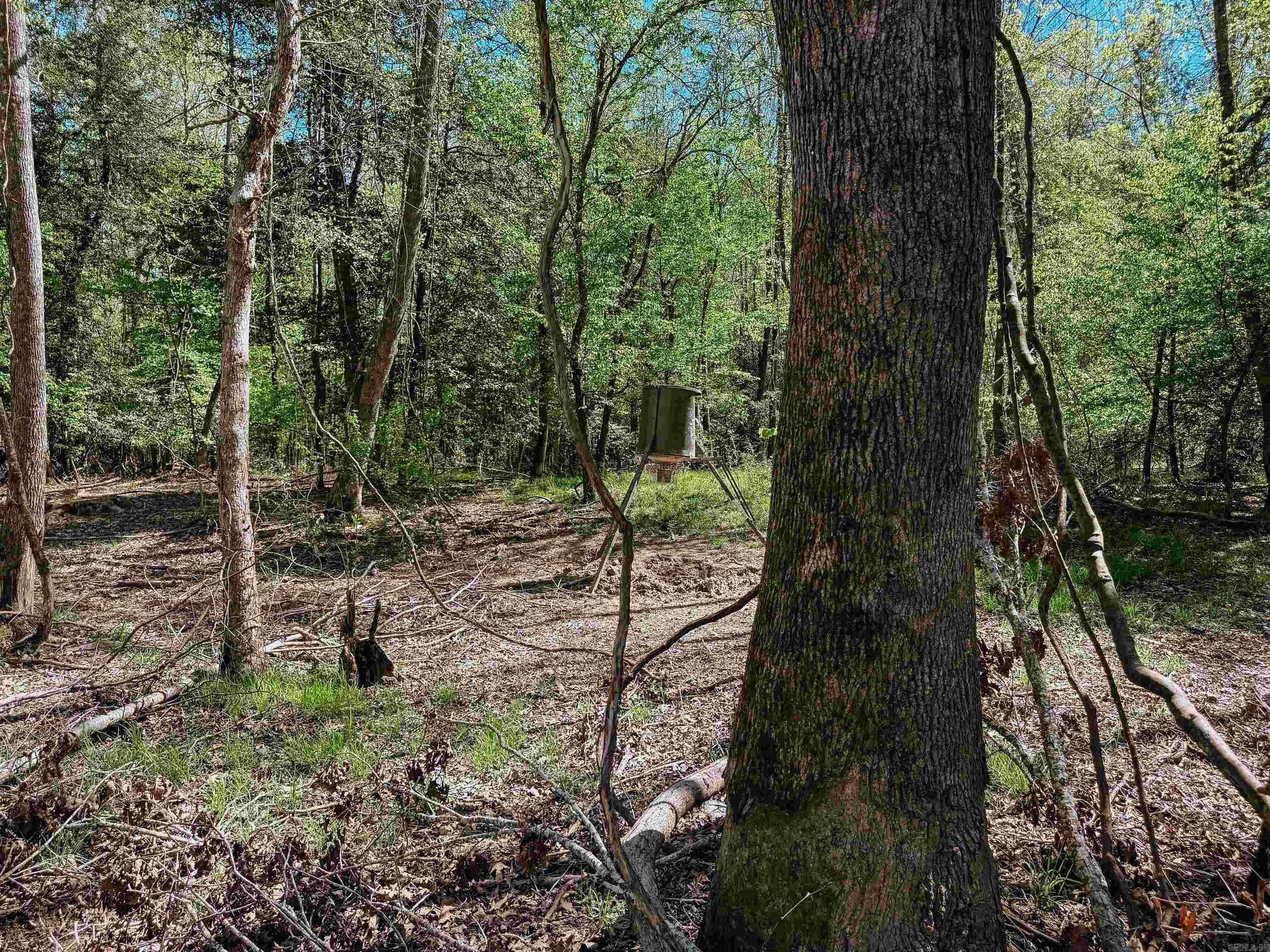 Not in Subdivision - Farm