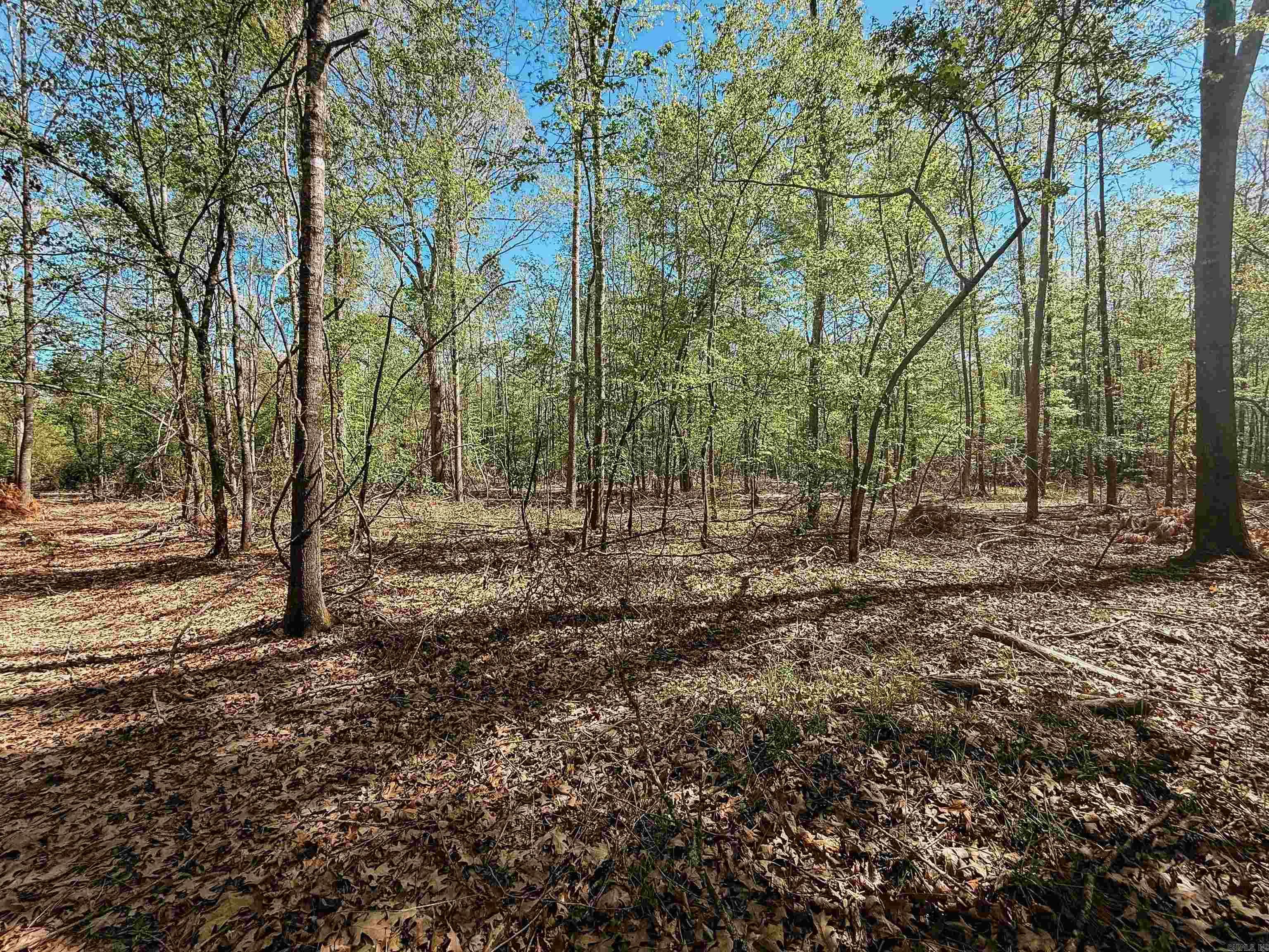 Not in Subdivision - Farm