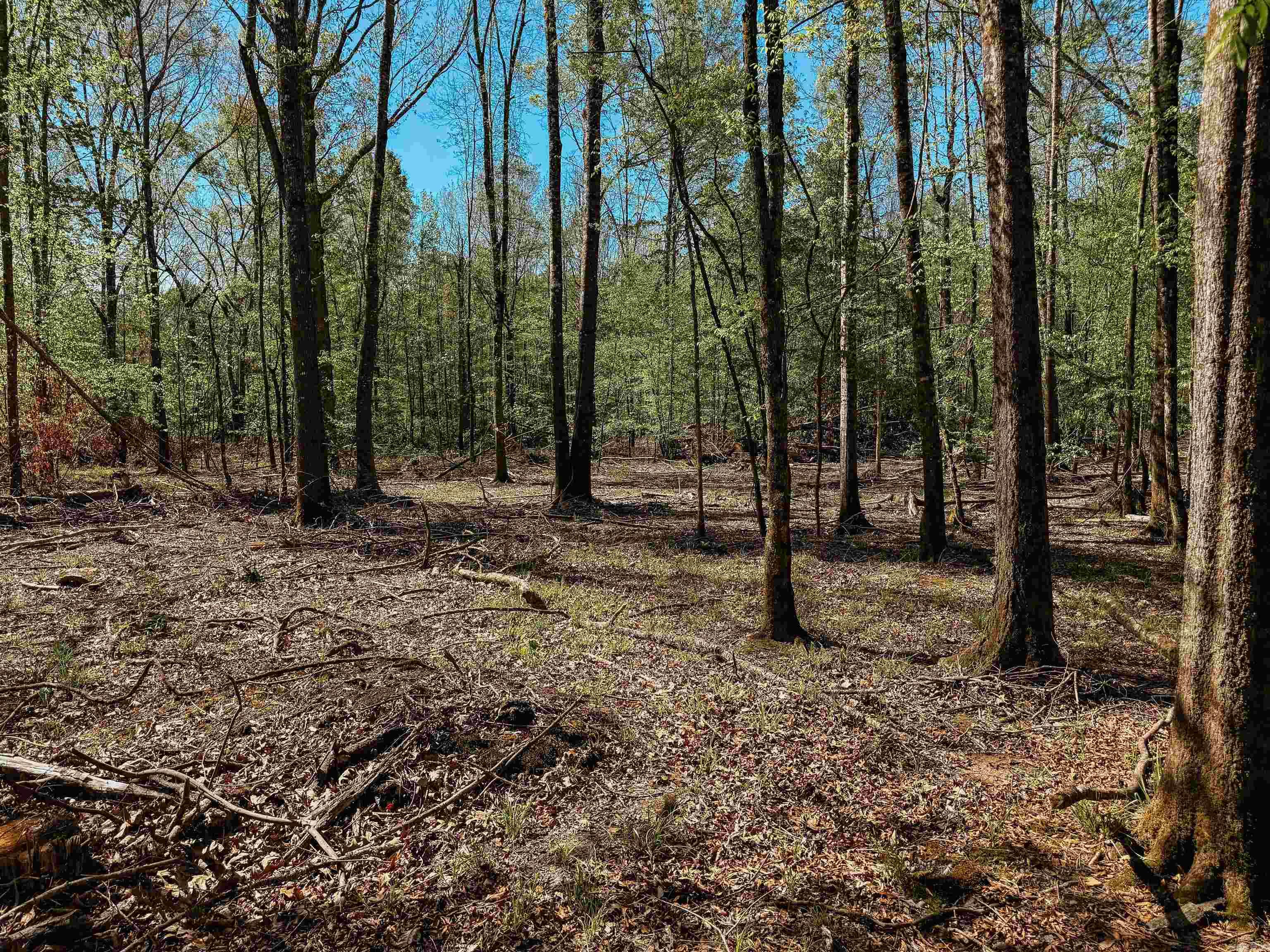 Not in Subdivision - Farm