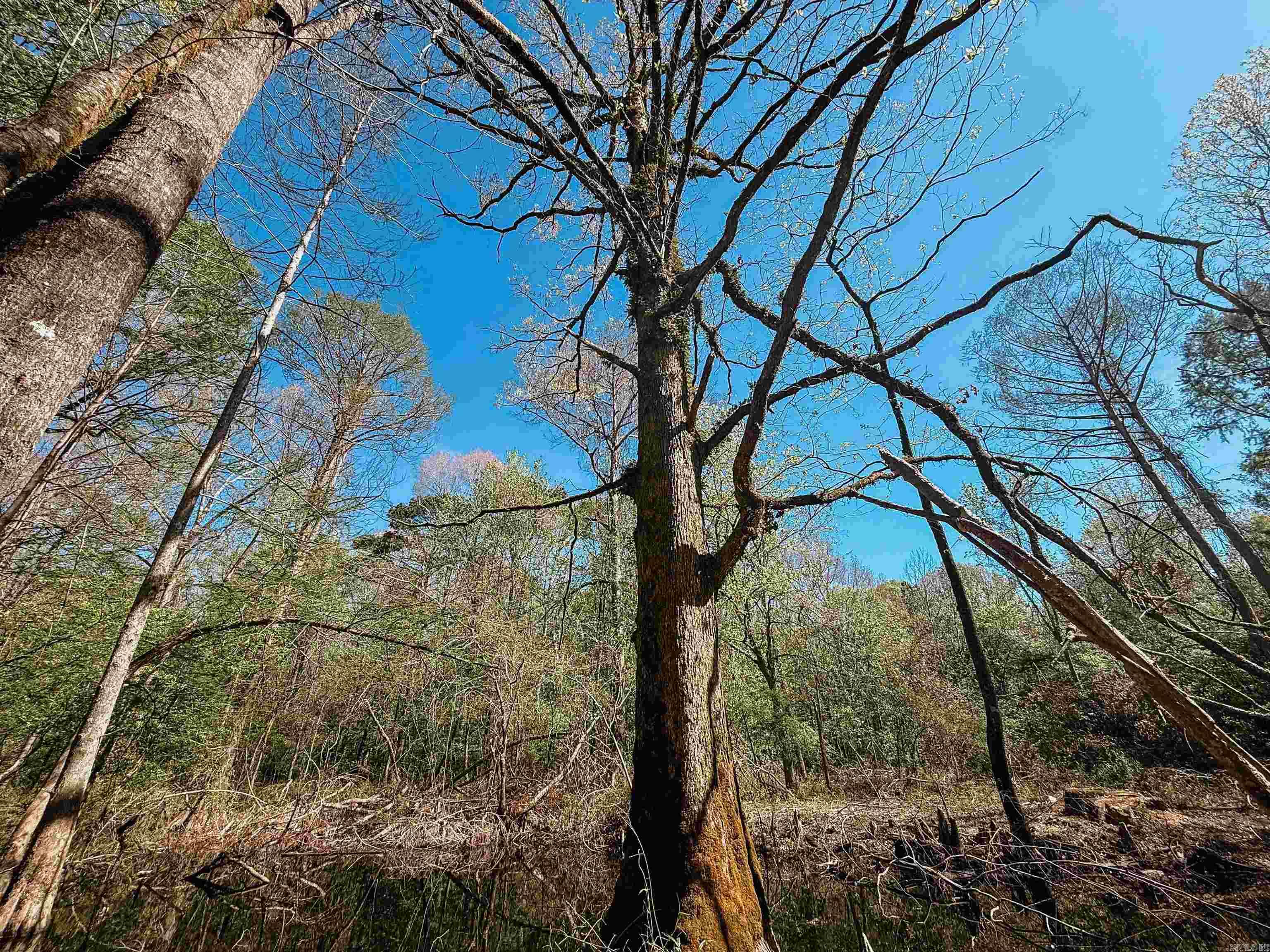 Not in Subdivision - Farm