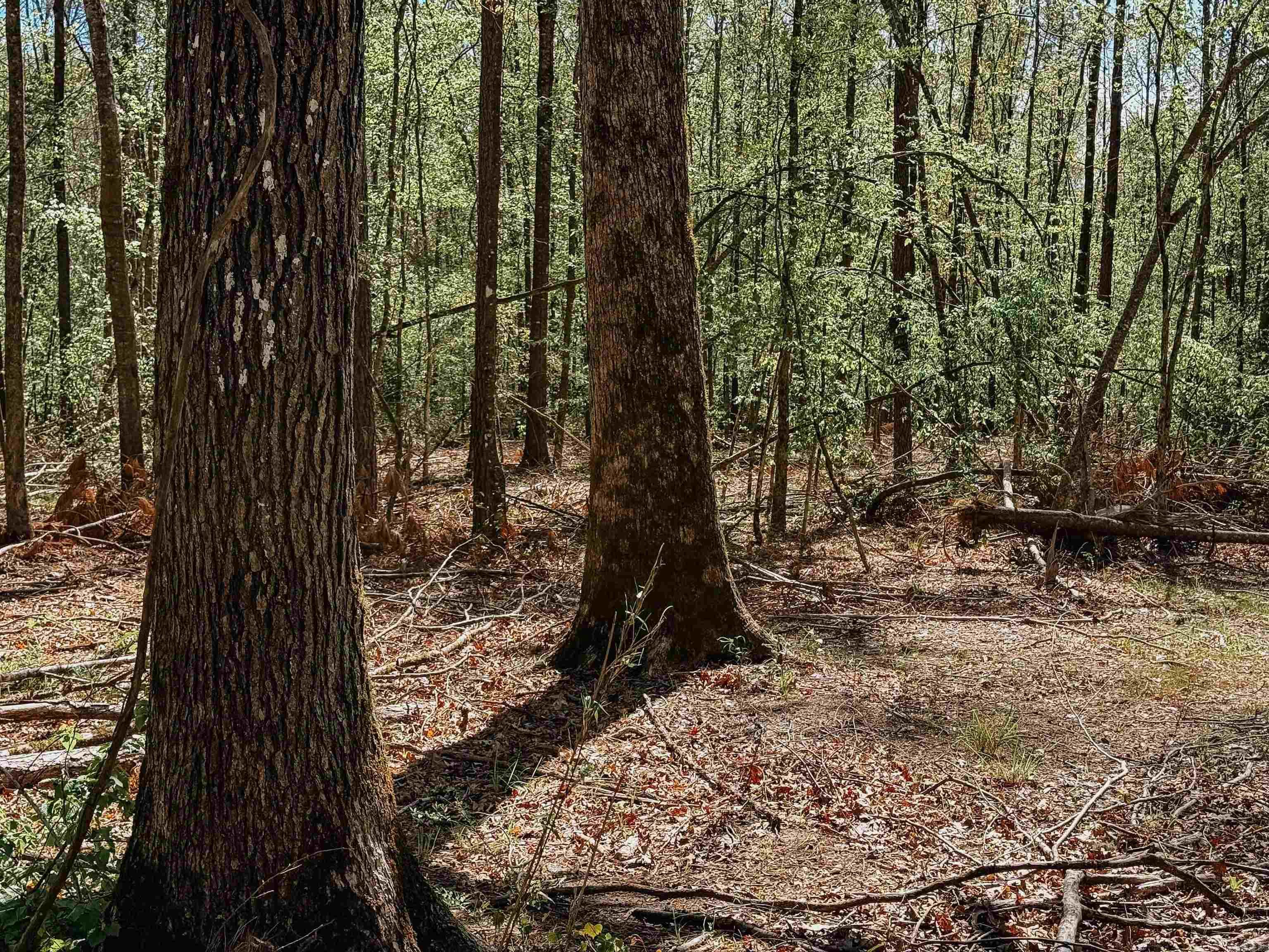 Not in Subdivision - Farm