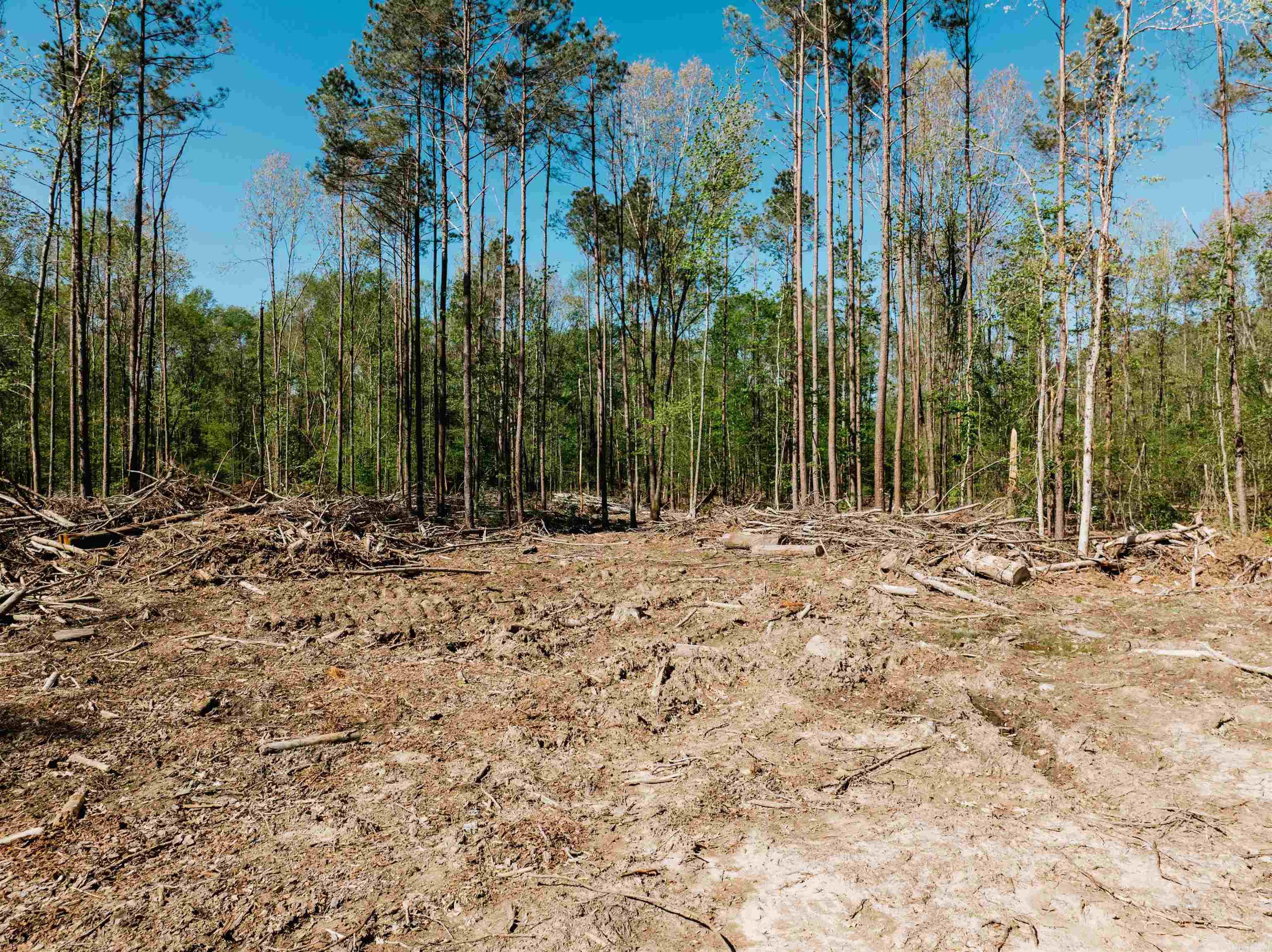 Not in Subdivision - Farm