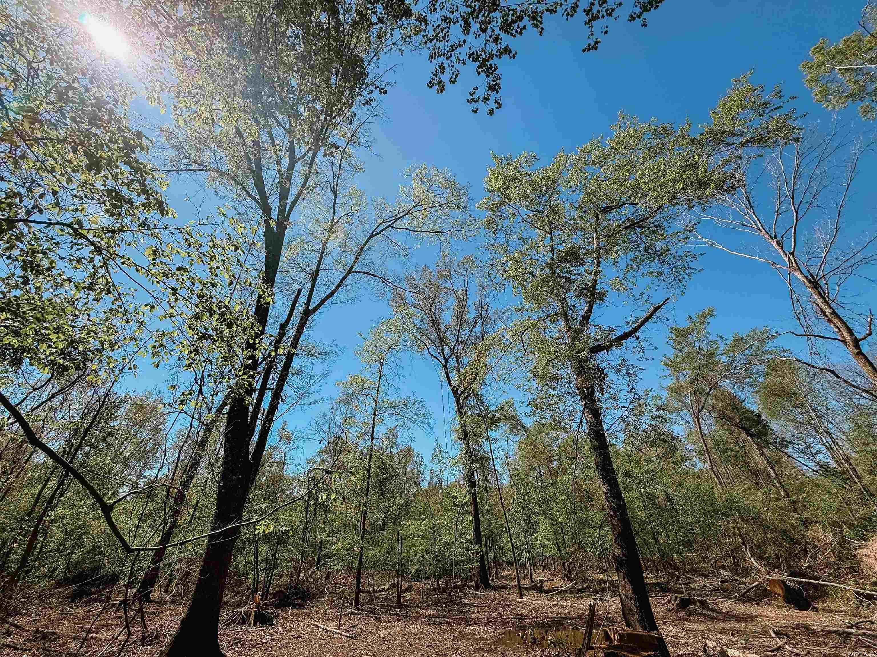 Not in Subdivision - Farm