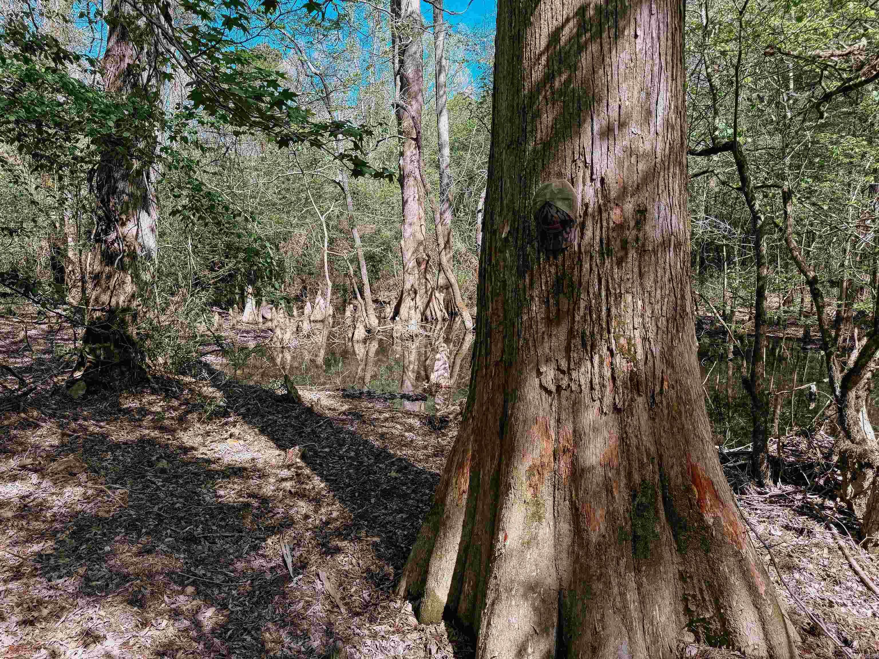 Not in Subdivision - Farm