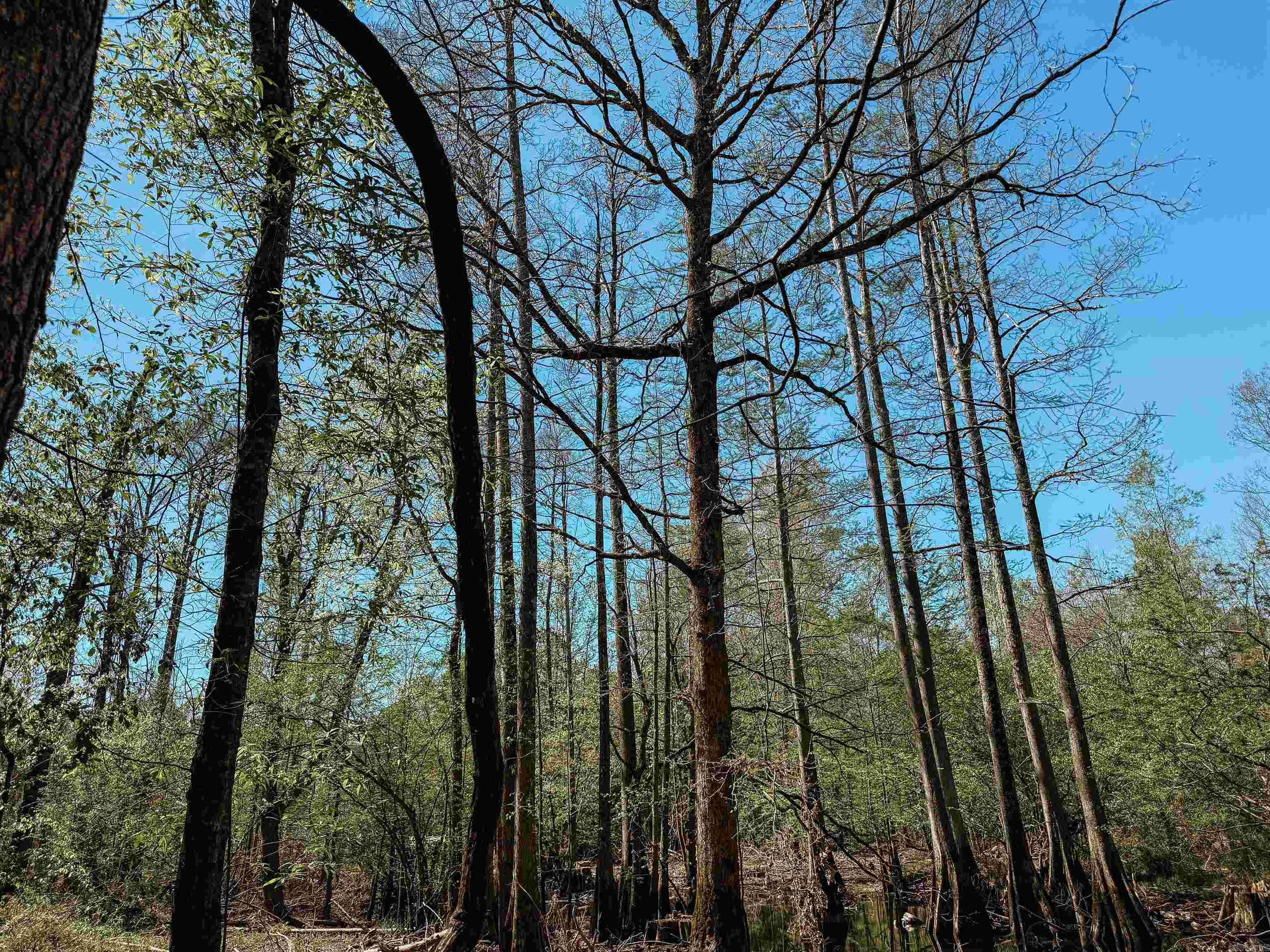 Not in Subdivision - Farm