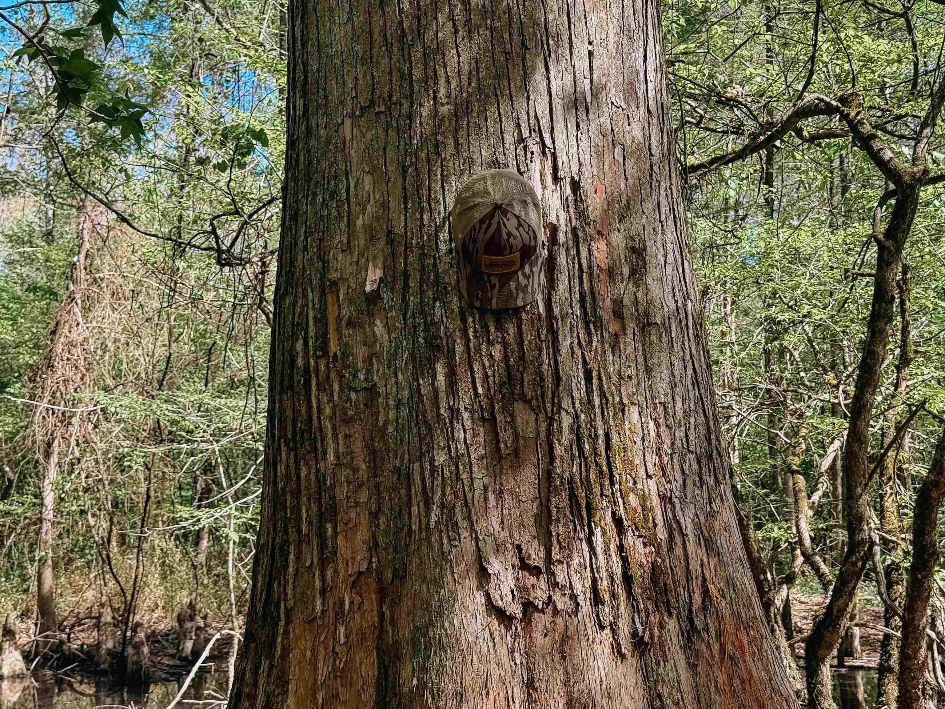 Not in Subdivision - Farm