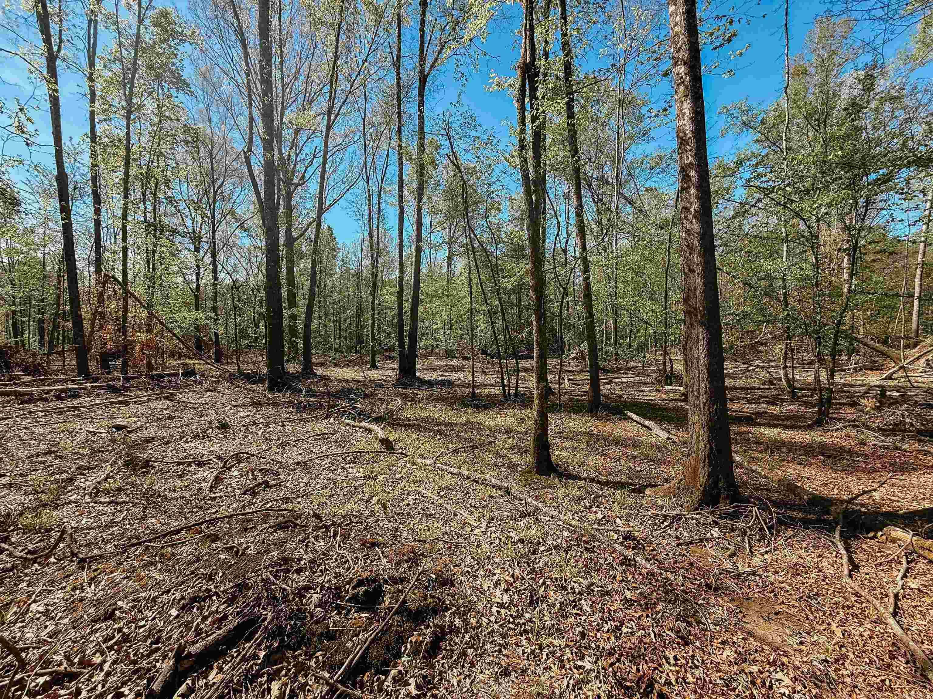 Not in Subdivision - Farm