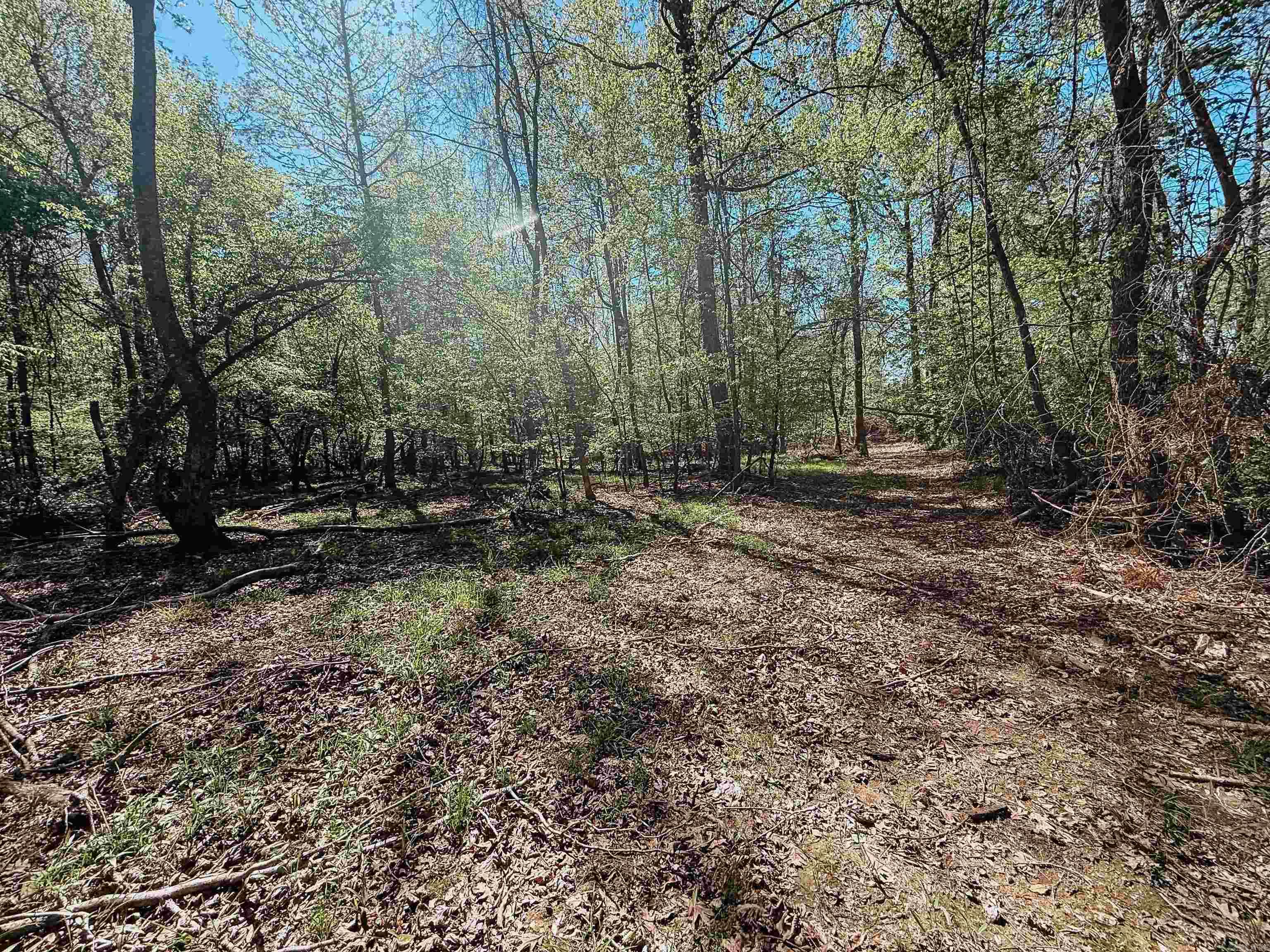 Not in Subdivision - Farm