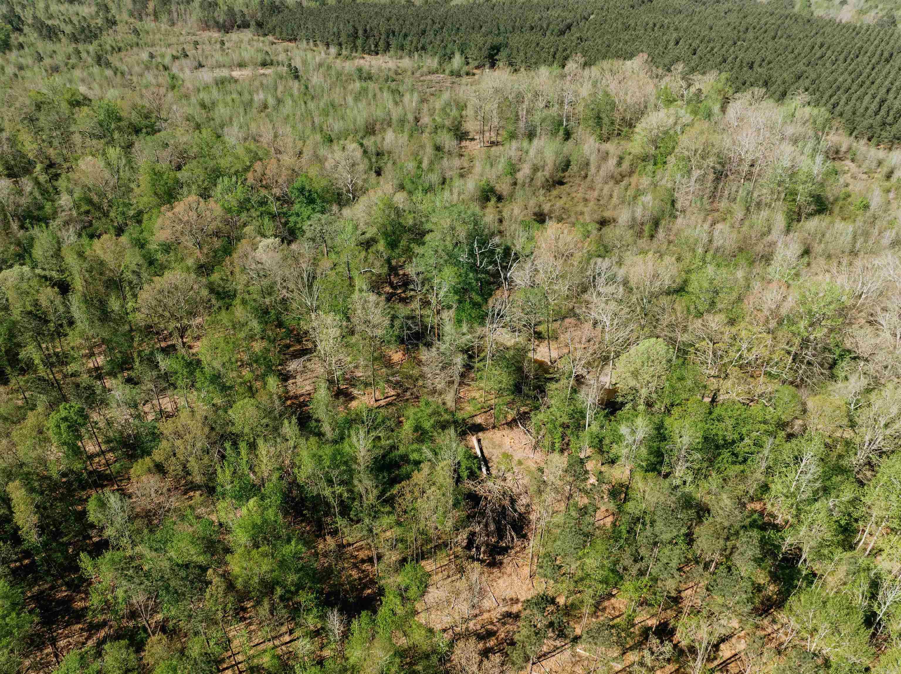 Not in Subdivision - Farm