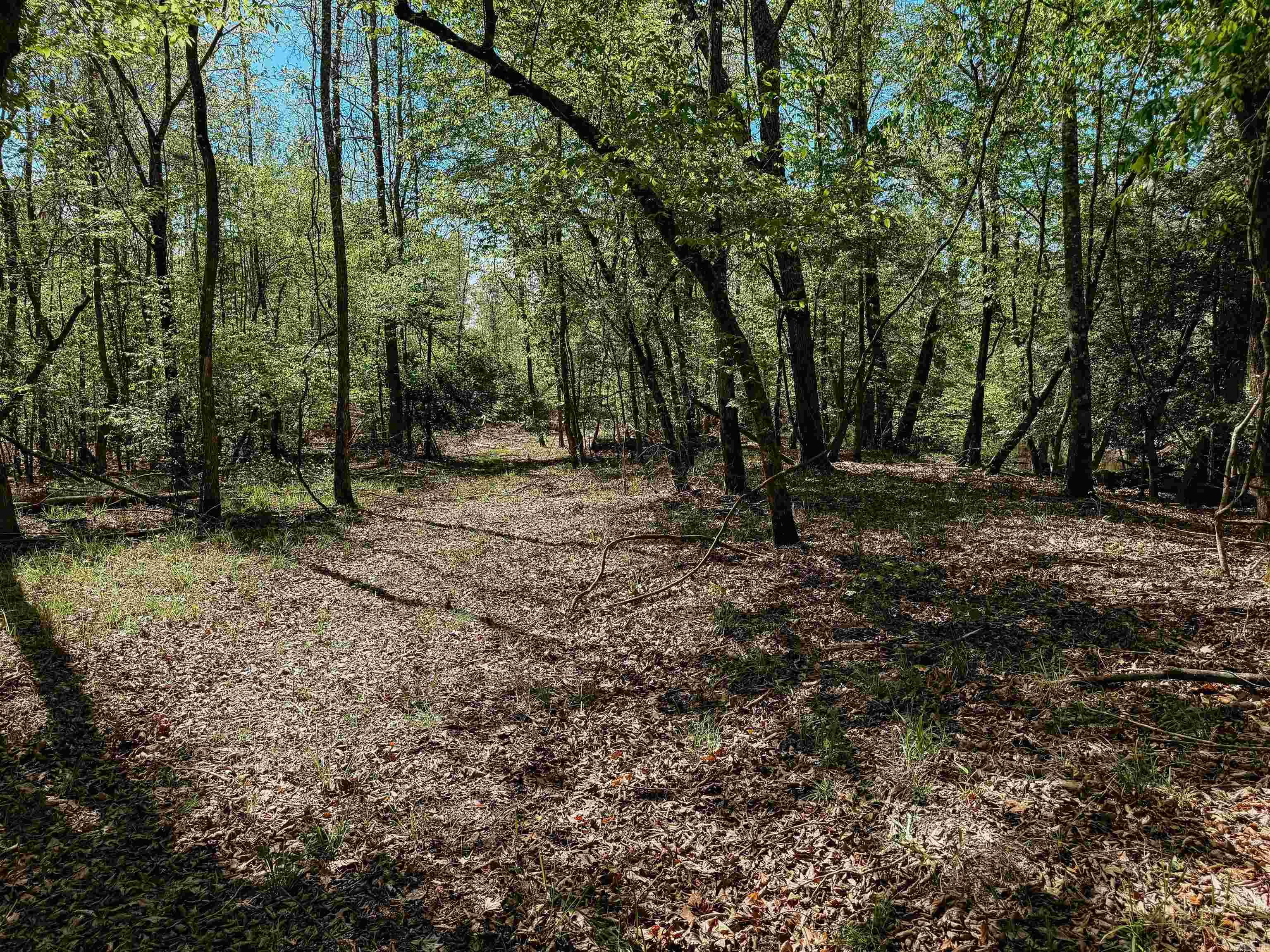 Not in Subdivision - Farm