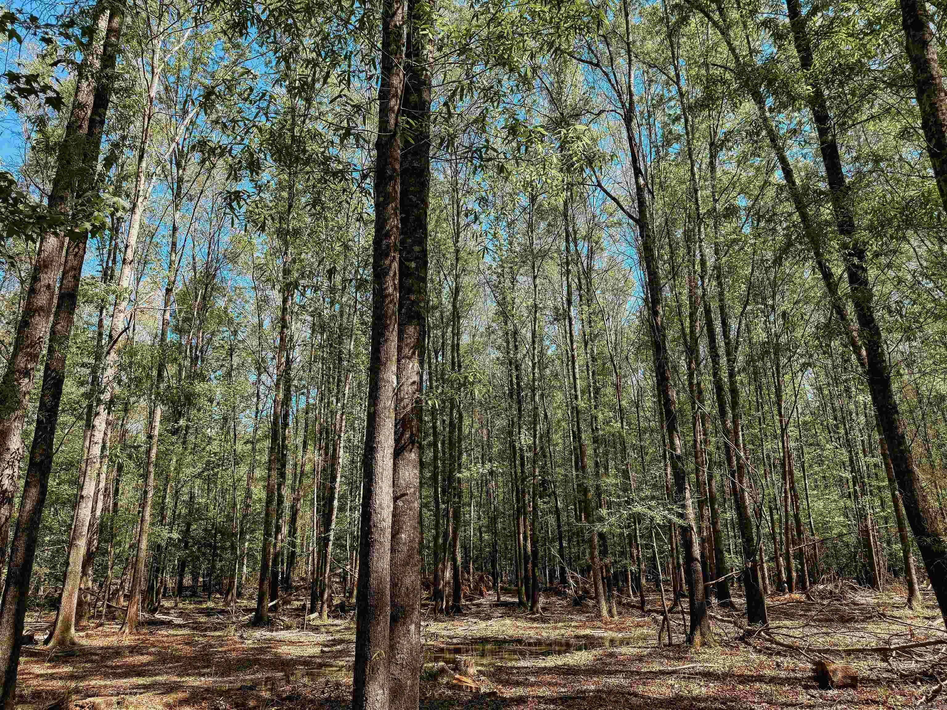 Not in Subdivision - Farm