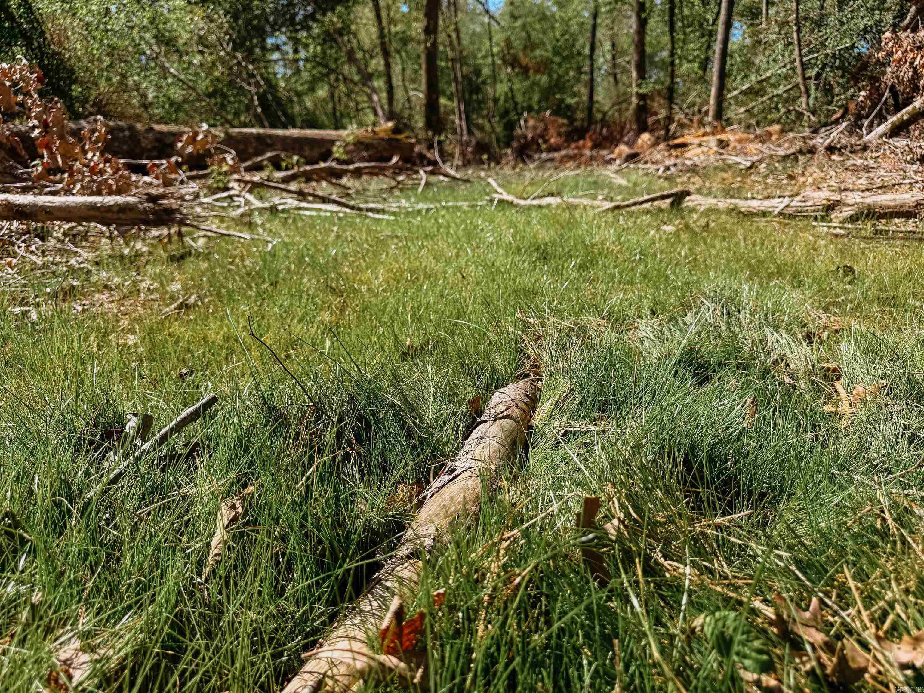 Not in Subdivision - Farm