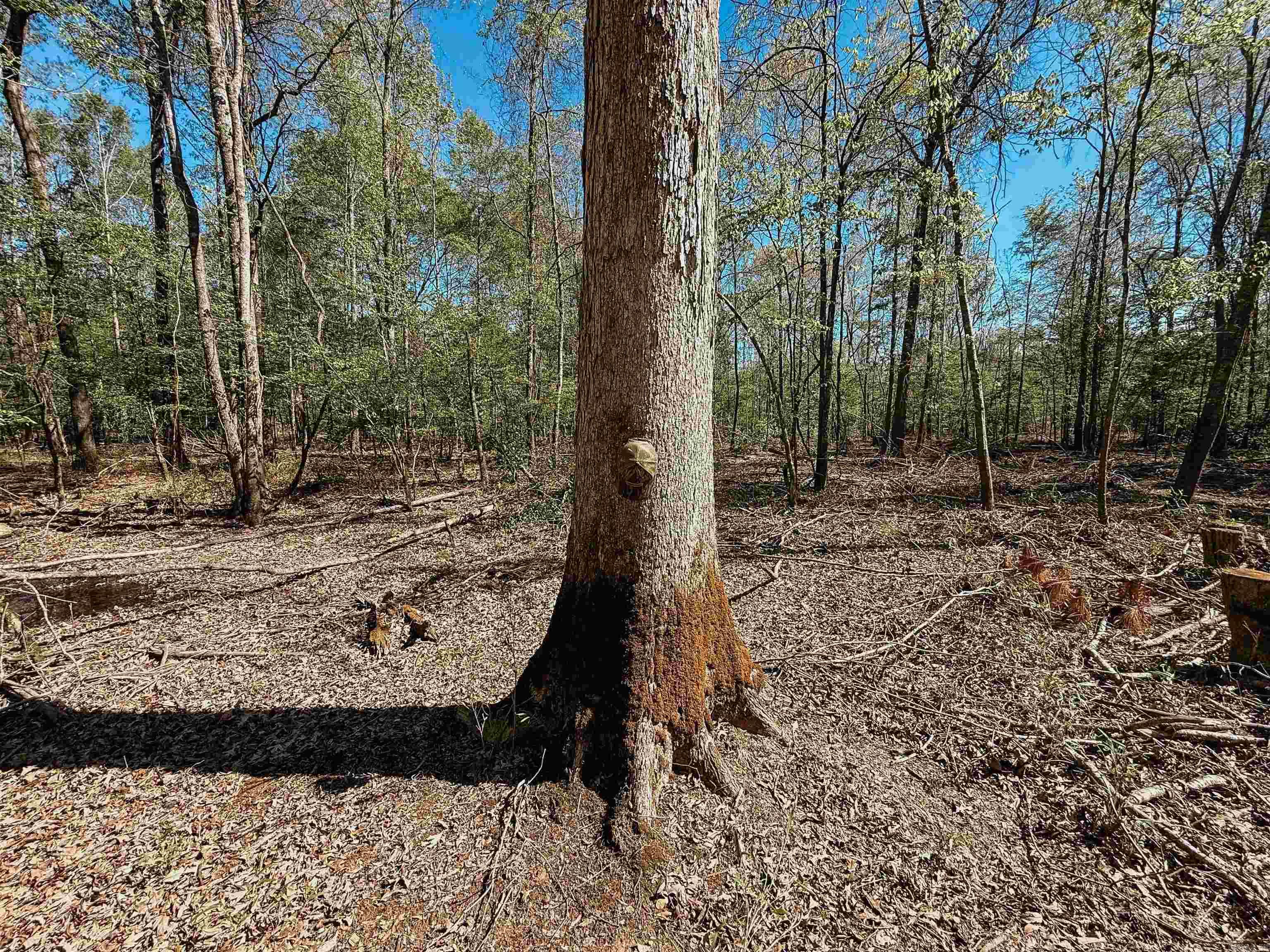 Not in Subdivision - Farm