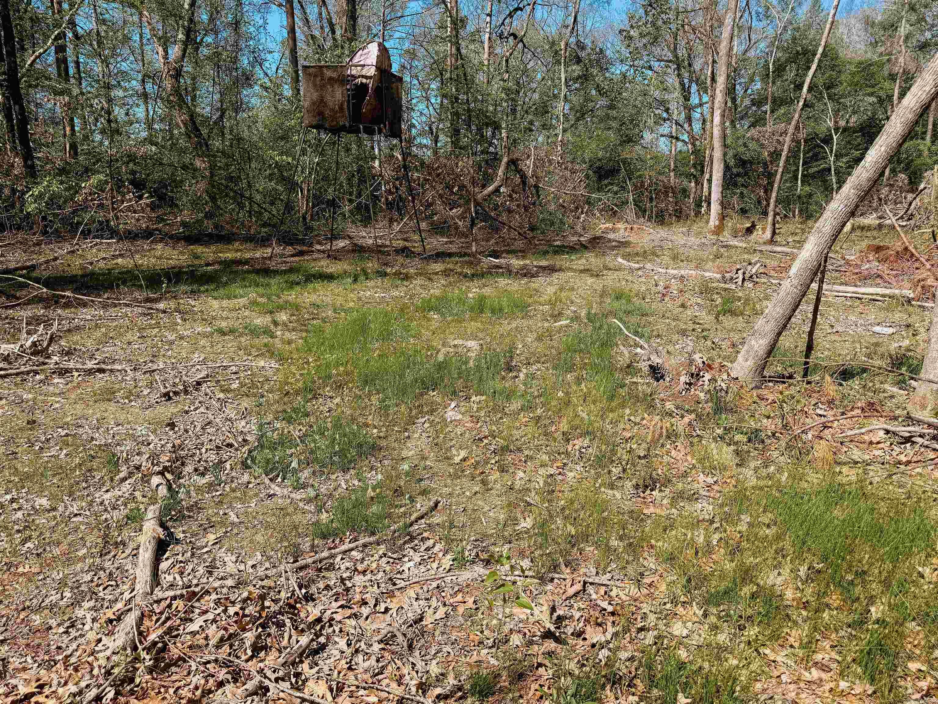 Not in Subdivision - Farm