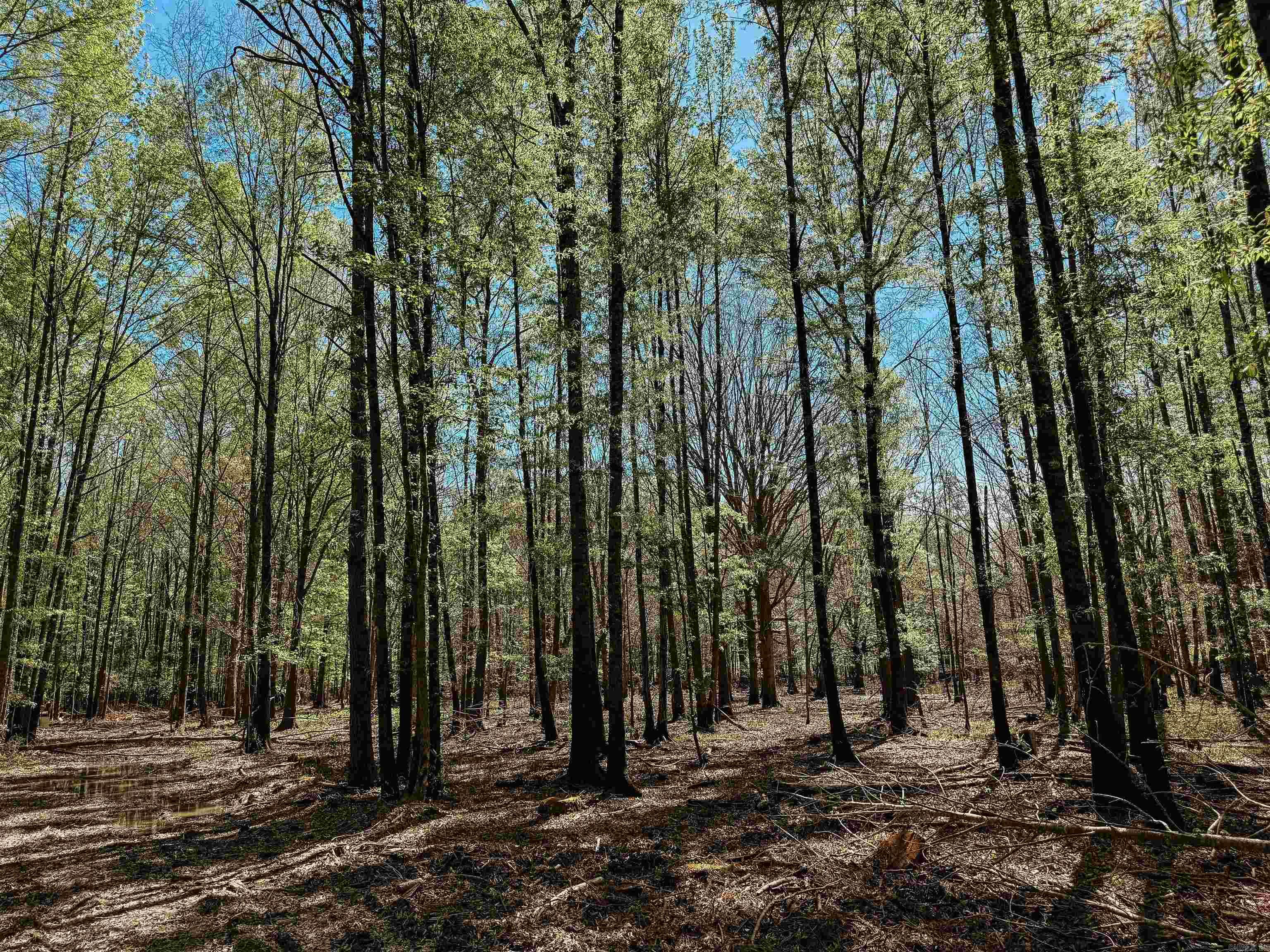 Not in Subdivision - Farm