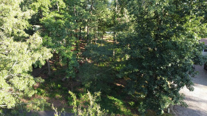 Nice lot on DeSoto golf course #10 green.  Lot 024 Block 06 Valle Subdivision, Garland County, Hot Springs Village AR  $250 Buy-In fee for HSV POA for first time buyers