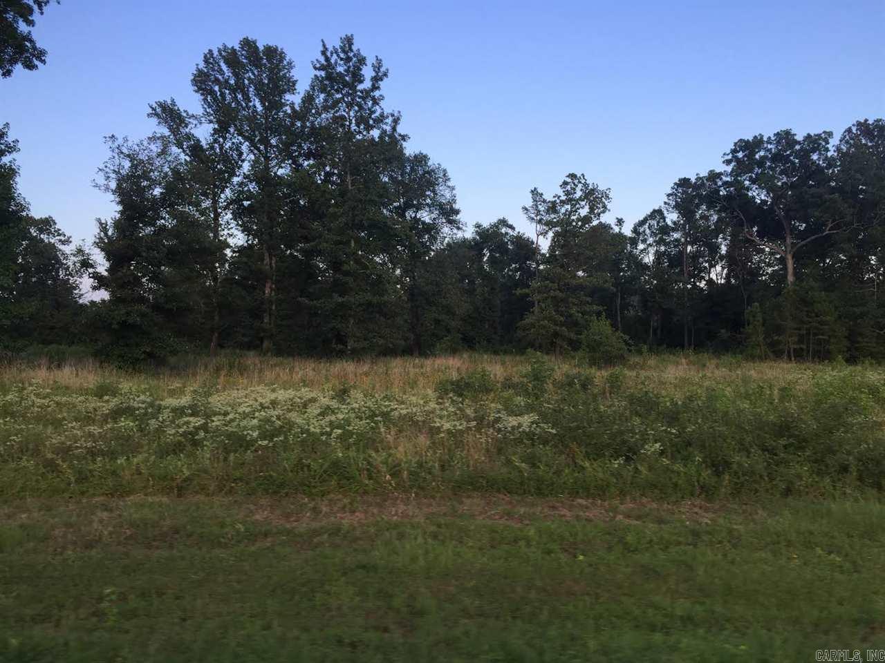 Virginia Downs - Land